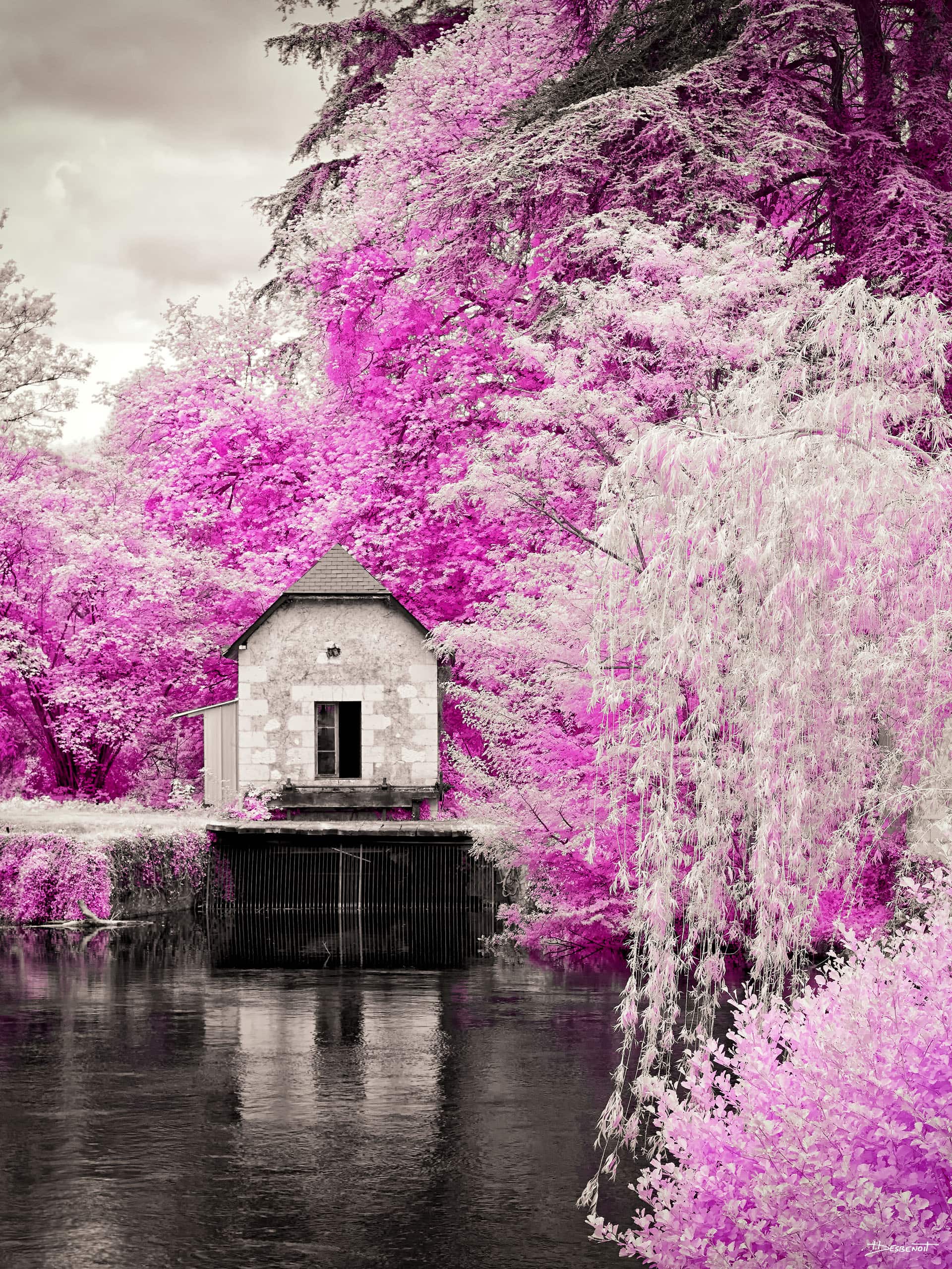 180502144936 MG 4958 X3N