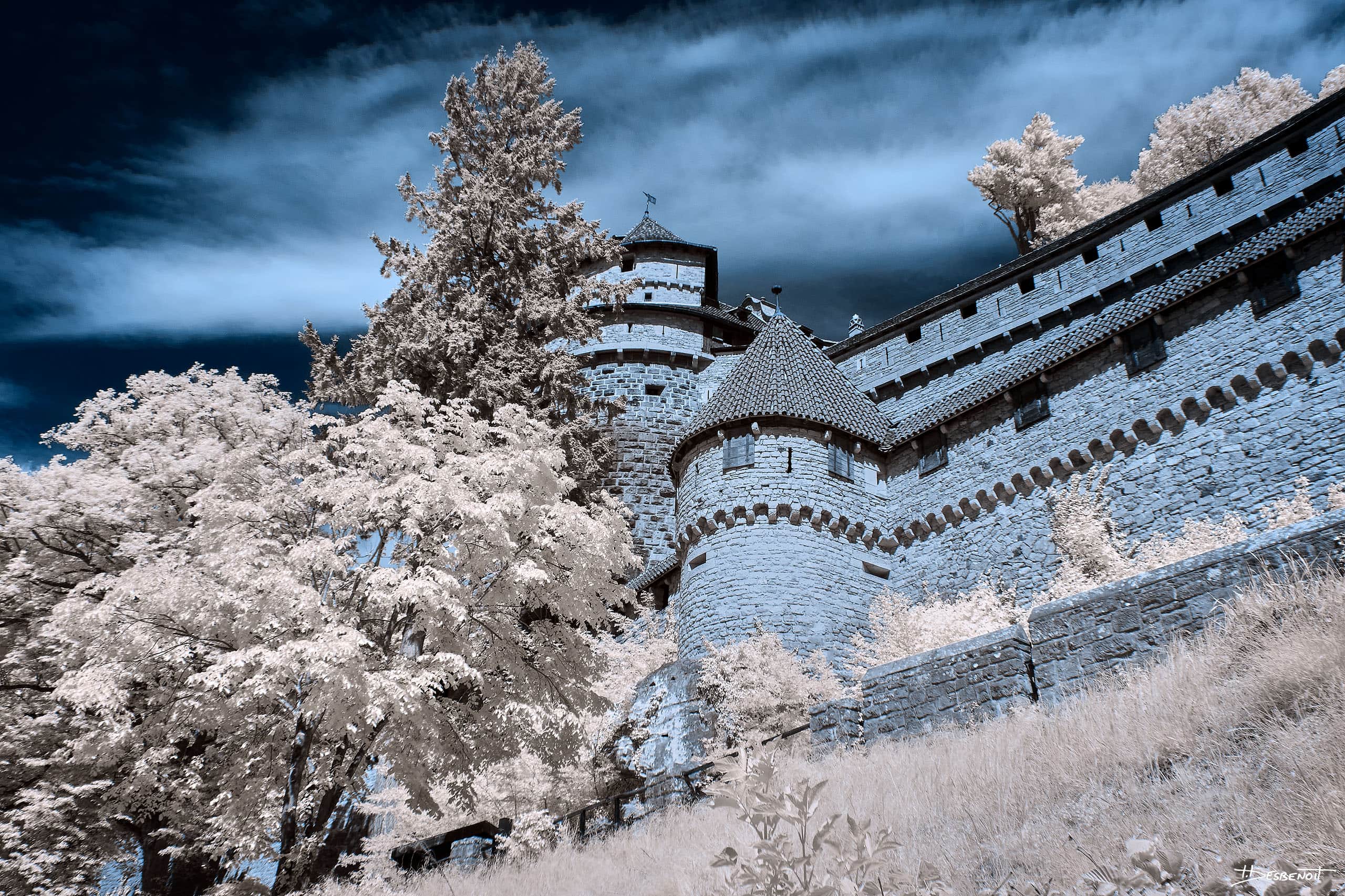 190530112824  MG 5179 X3N