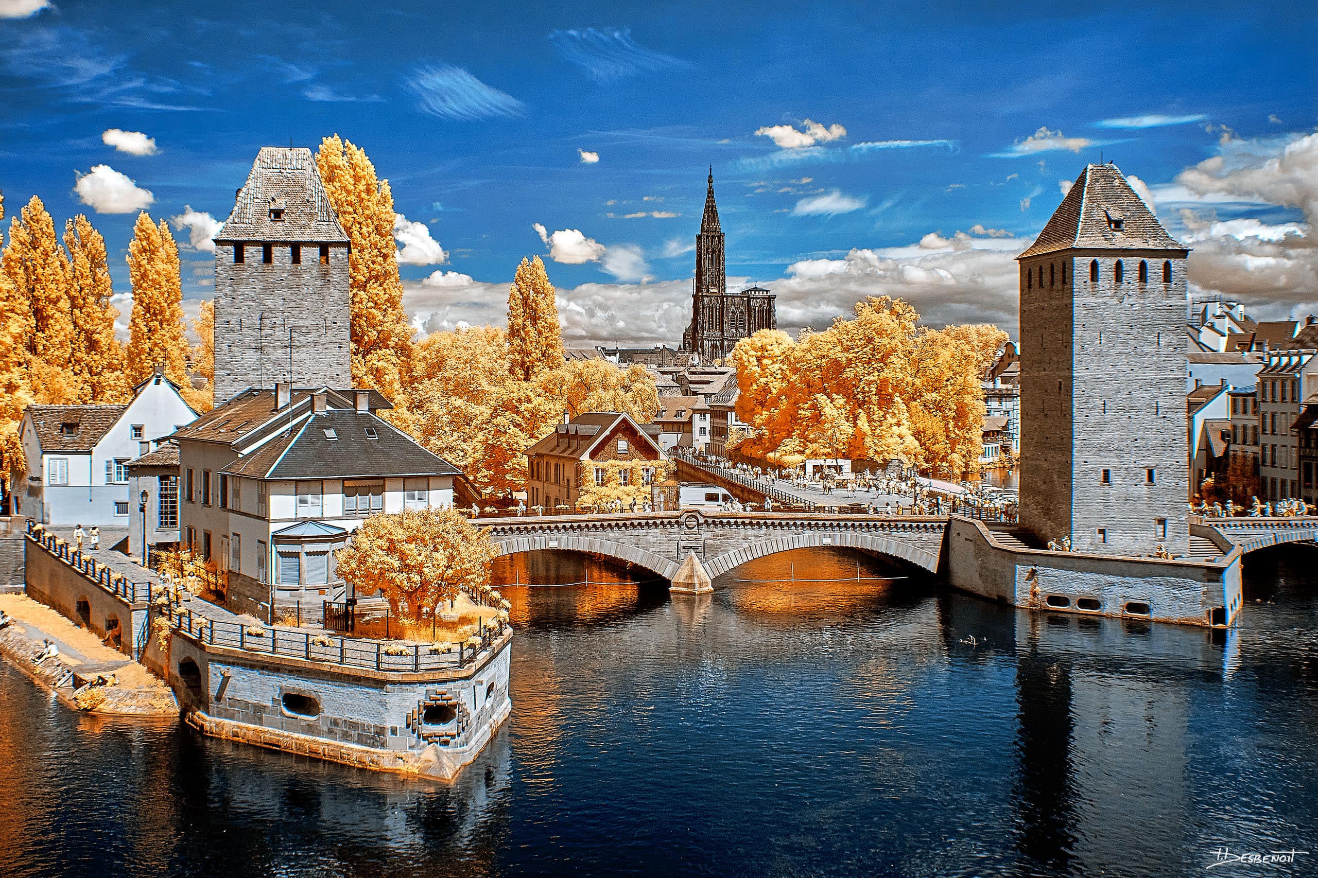 190531151109  MG 5196 X3N