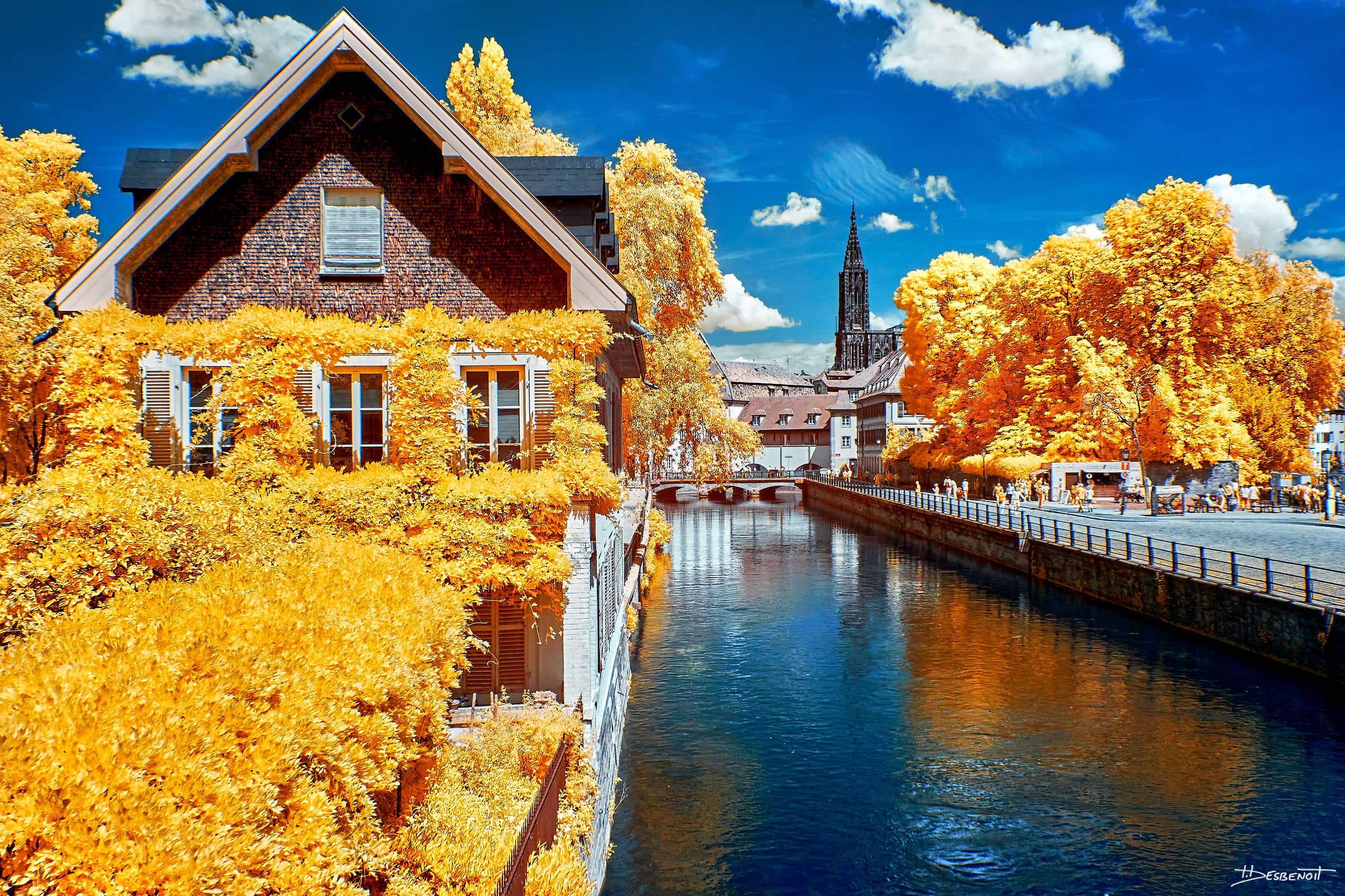 190531151957  MG 5199 X3N