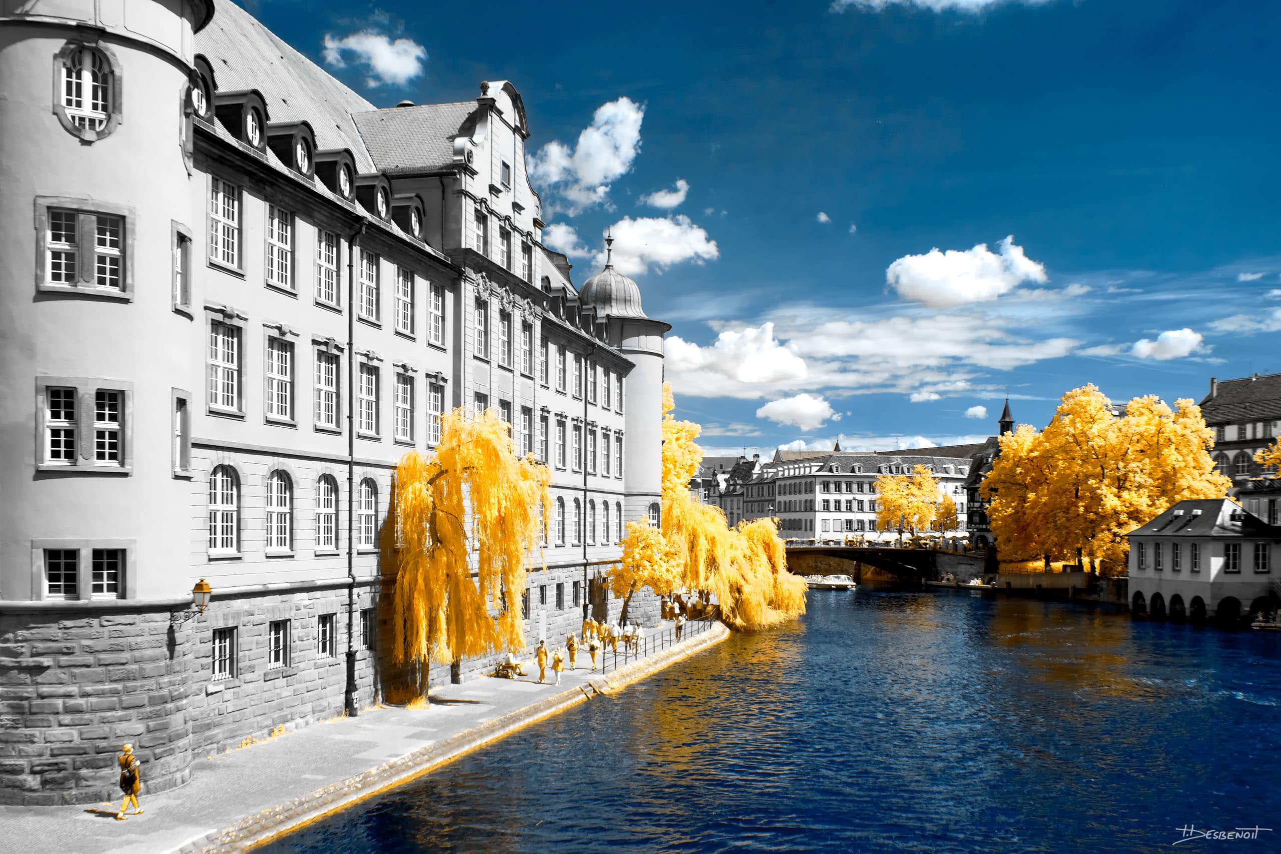 190531153153  MG 5201 X3N