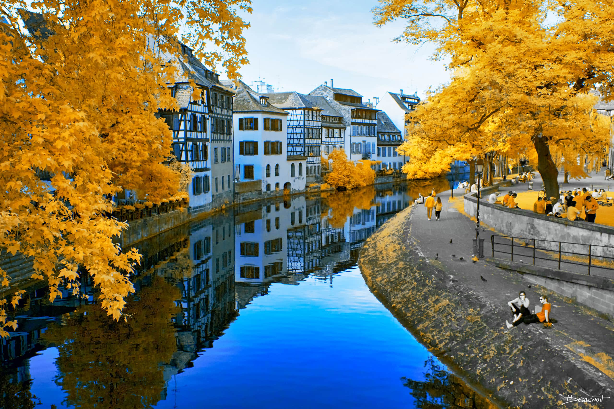 190531193147  MG 5206 X3N