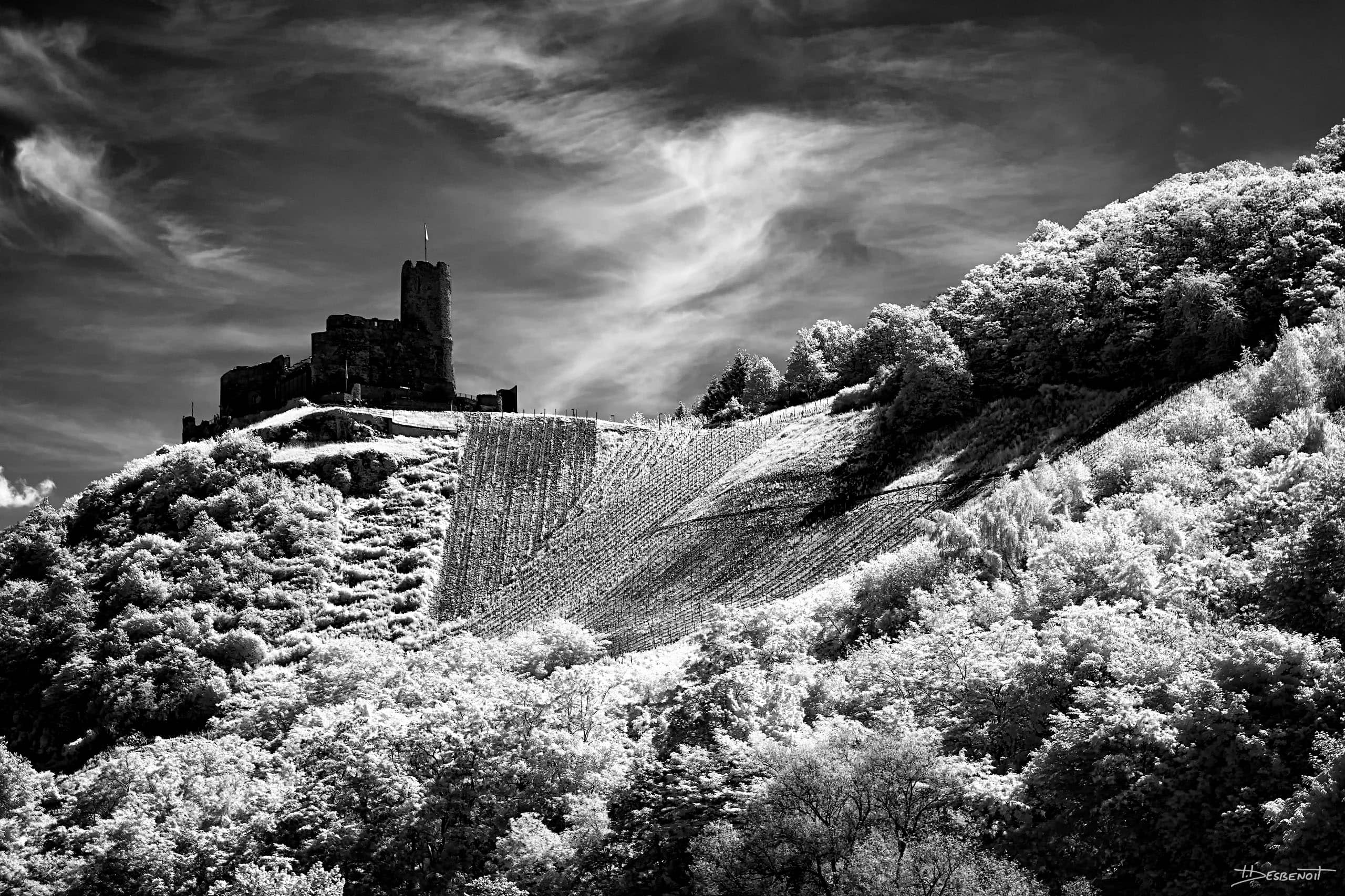 190602113653  MG 5212 X3N