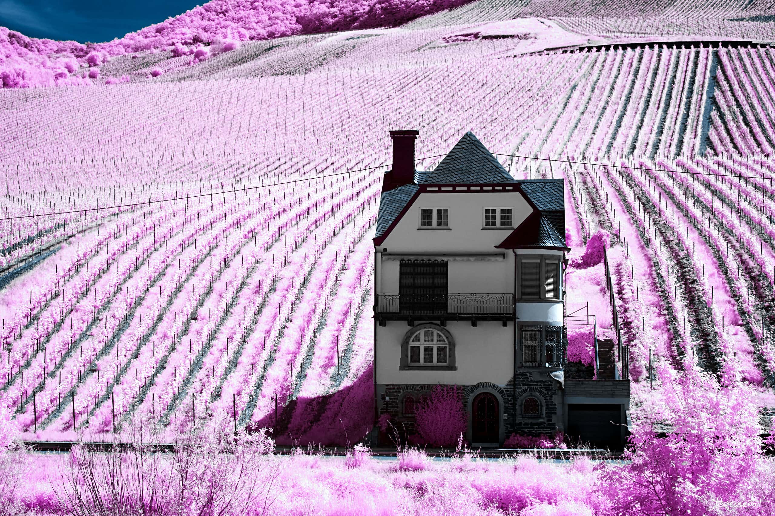 190602115201  MG 5220 X3N