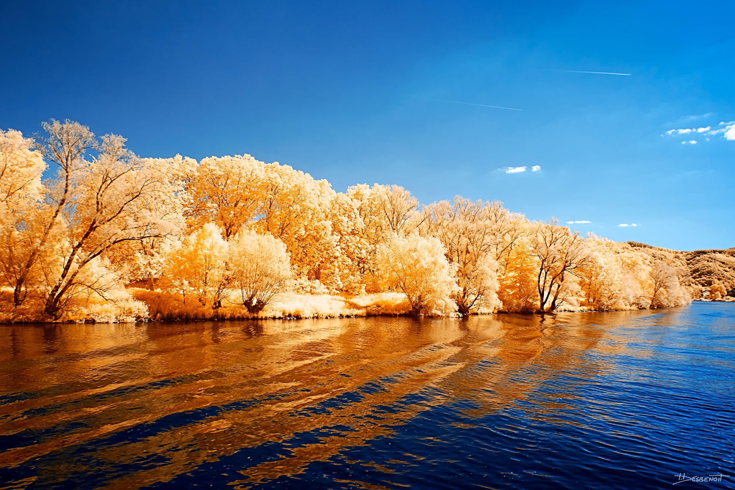 190602165933  MG 5245 X3N