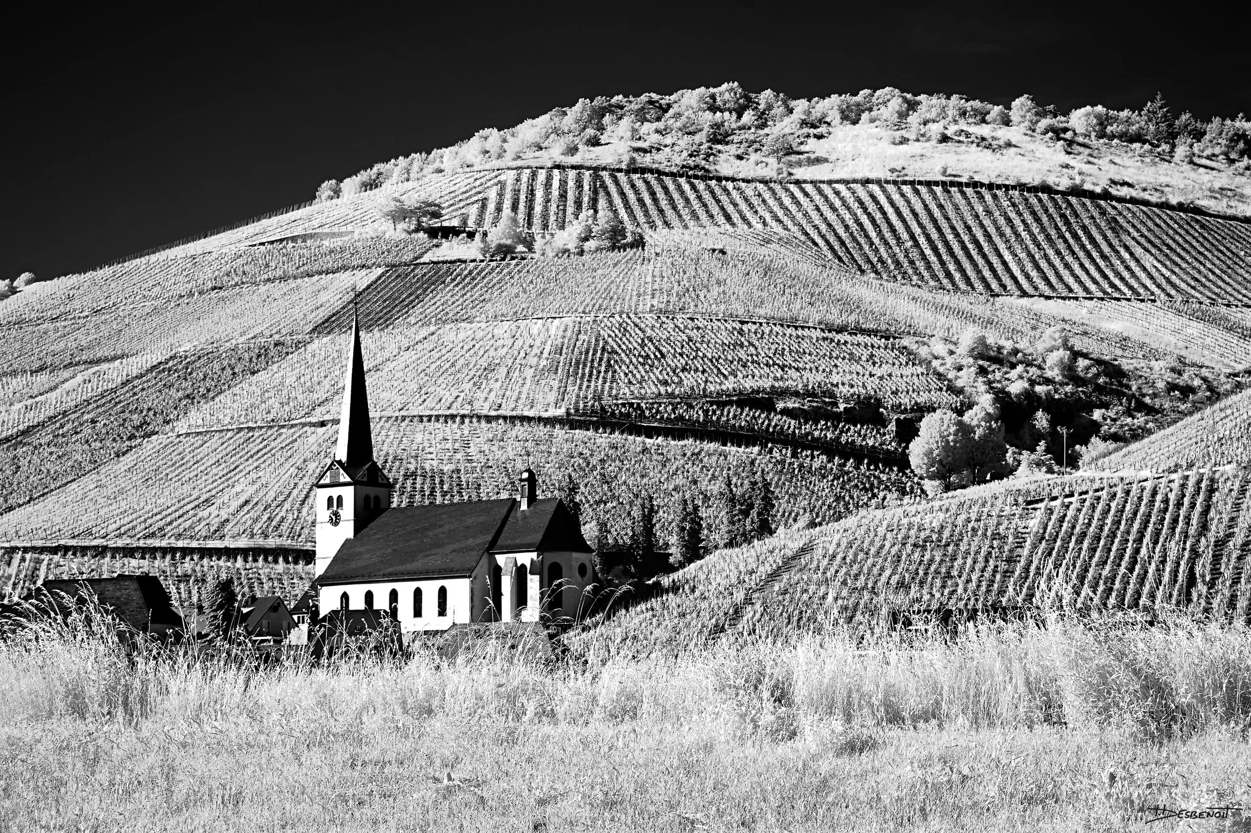 190602180428  MG 5273 X3N