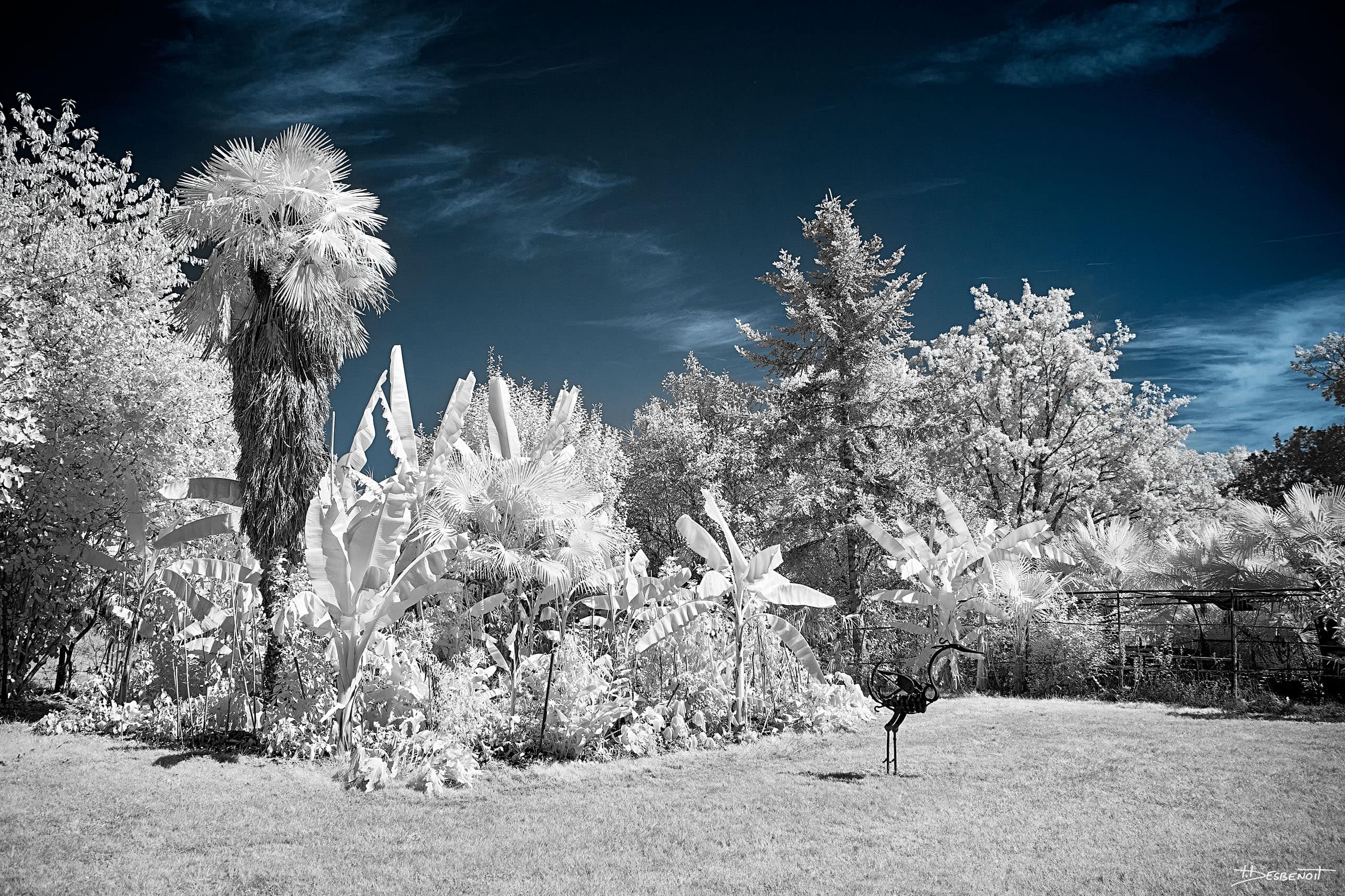 210906145221 MG 0005 X3N