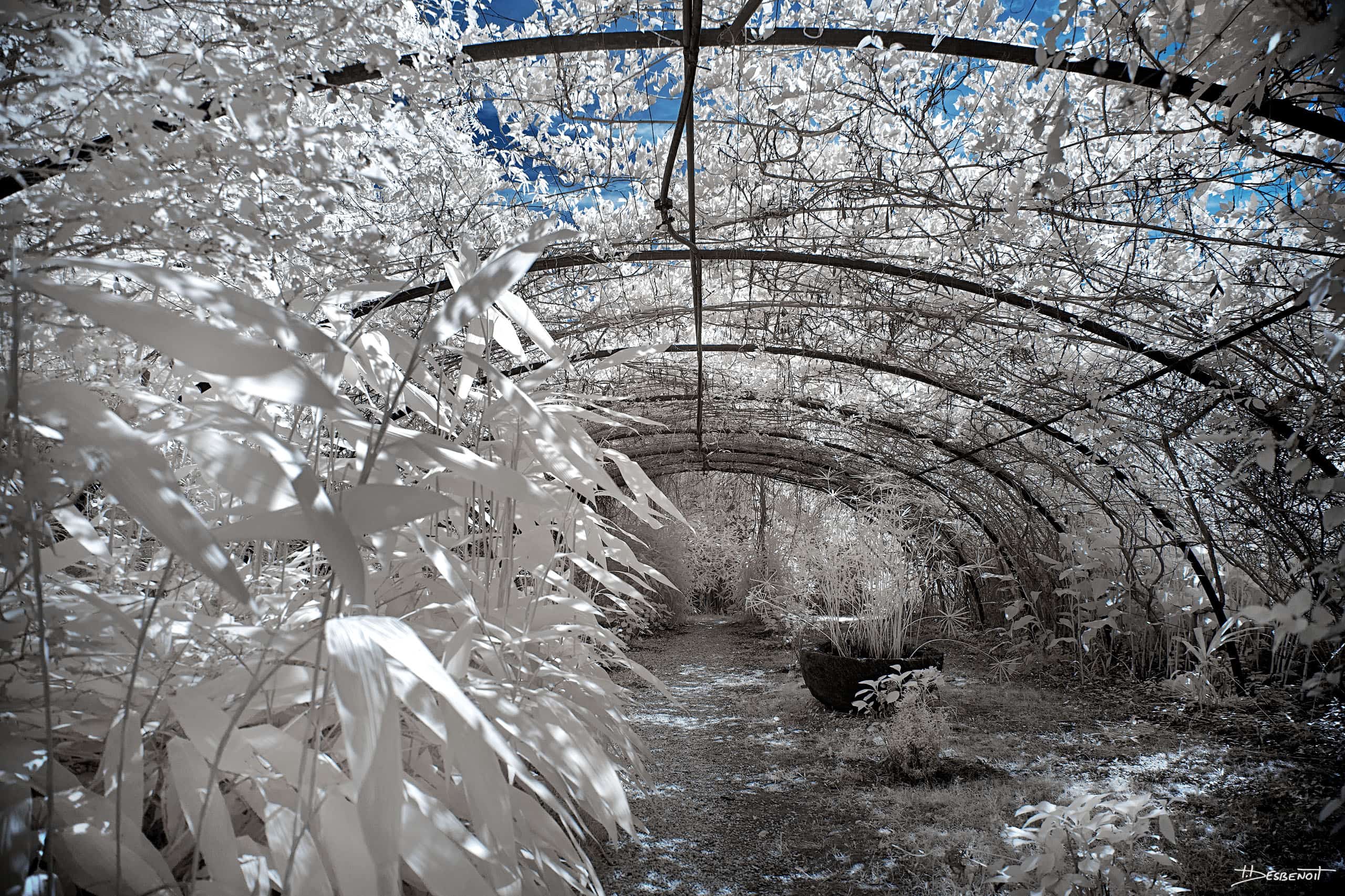 210906150144 MG 0006 X3N