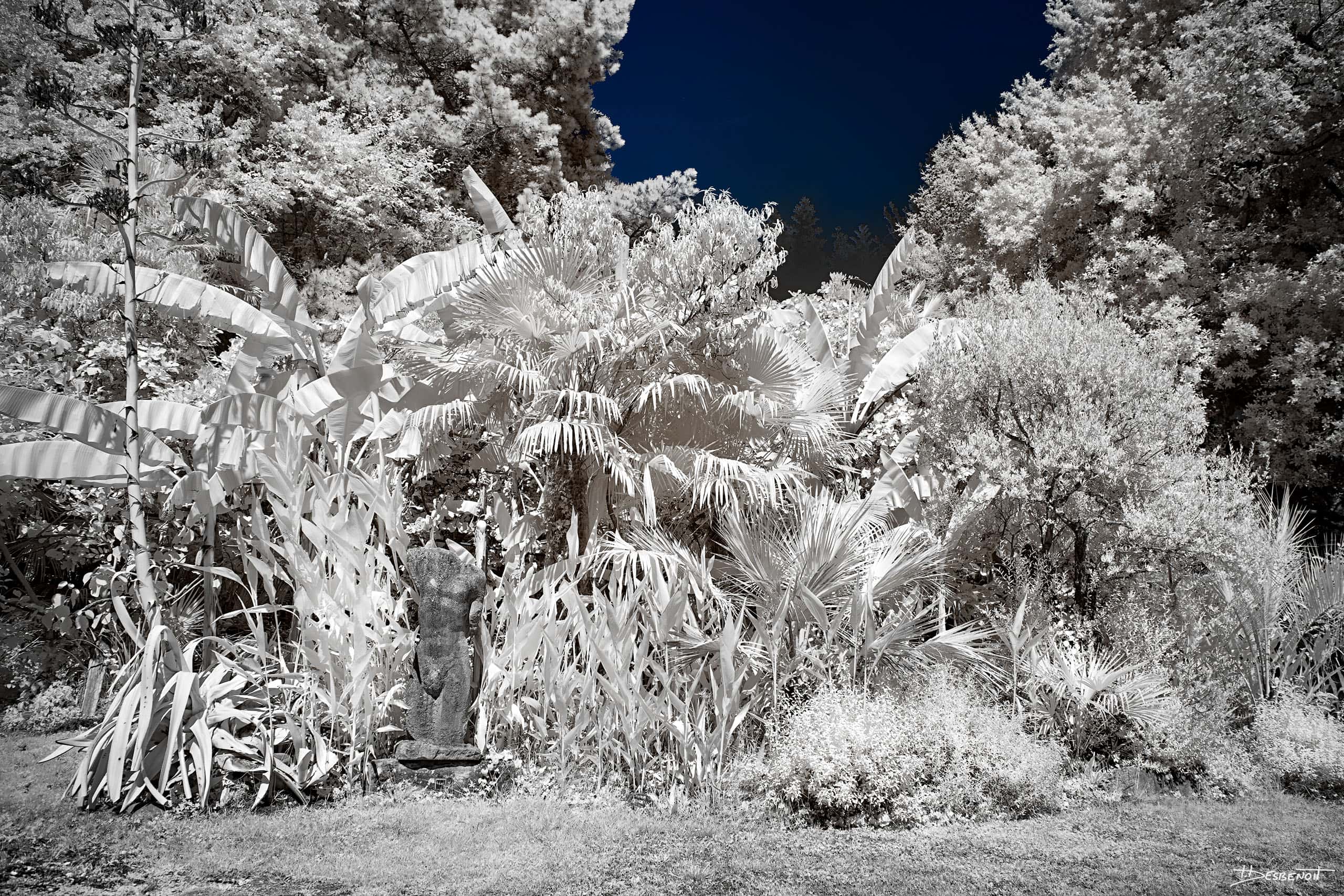 210906150439 MG 0007 X3N