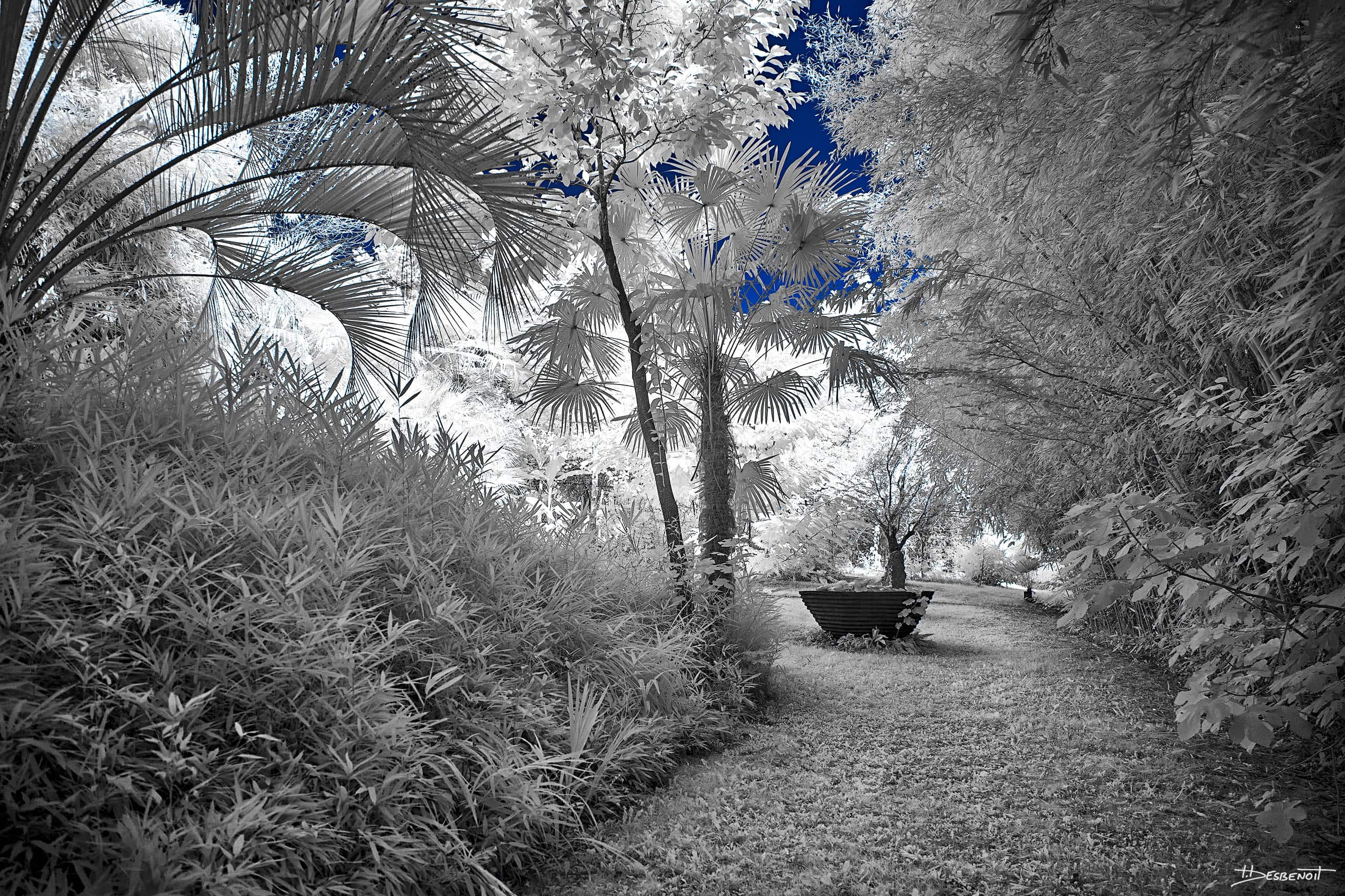 210906151136 MG 0011 X3N