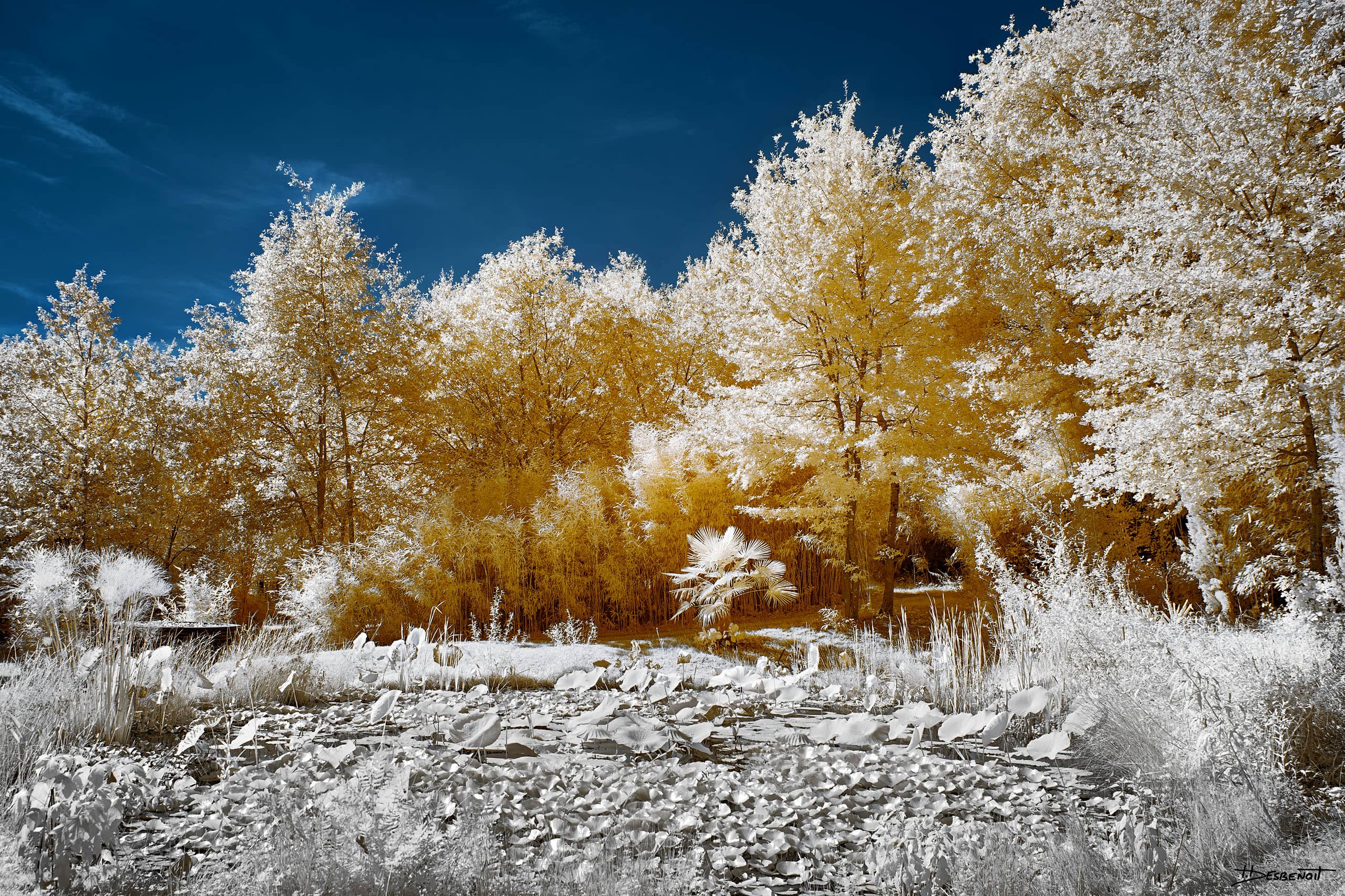 210906151628 MG 0015 X3N