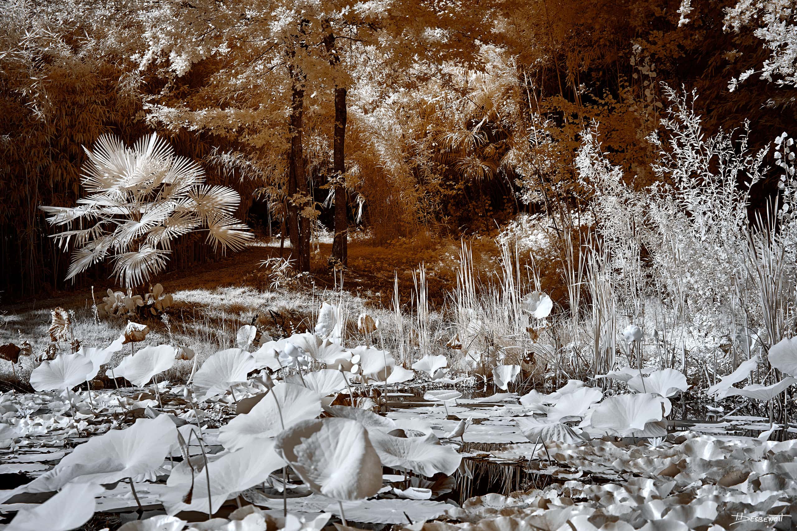 210906151659 MG 0016 X3N