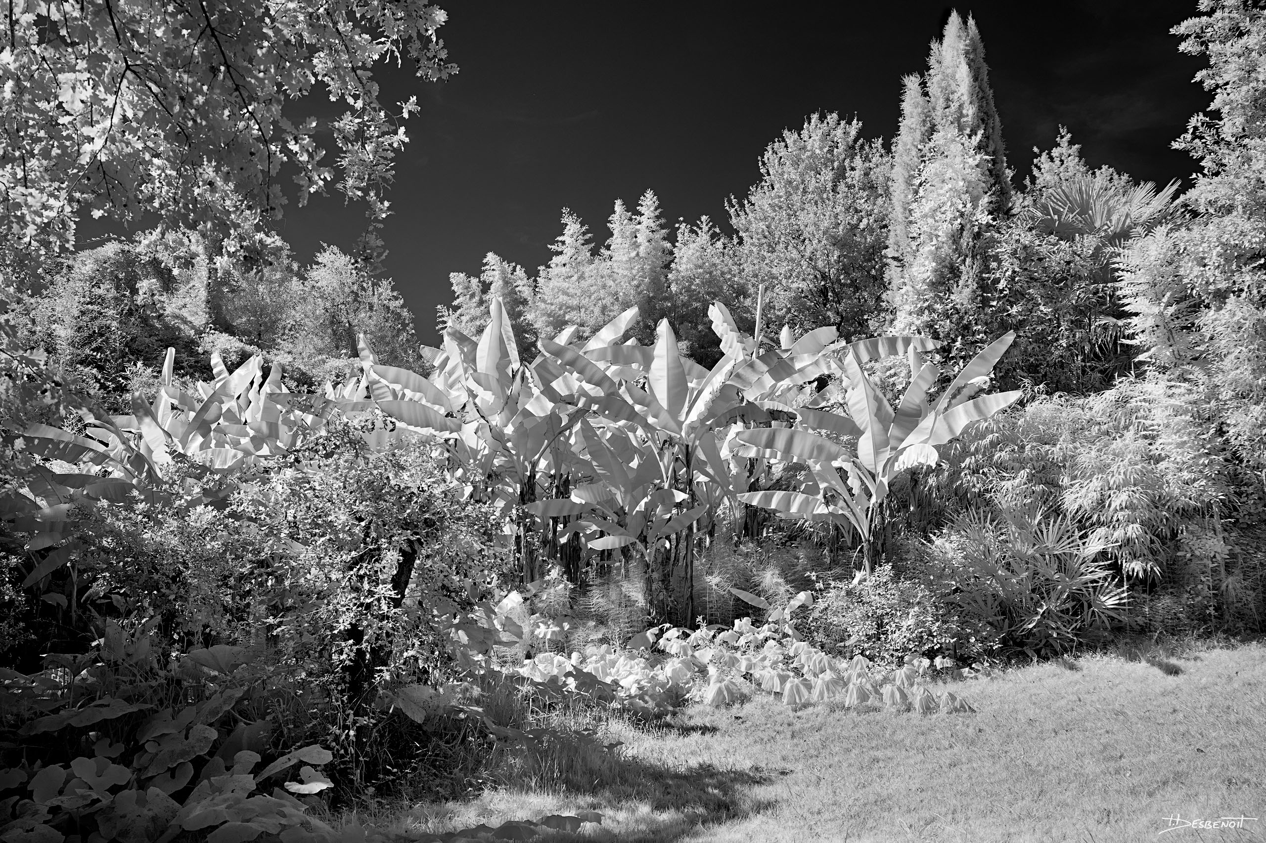 210906152031 MG 0020 X3