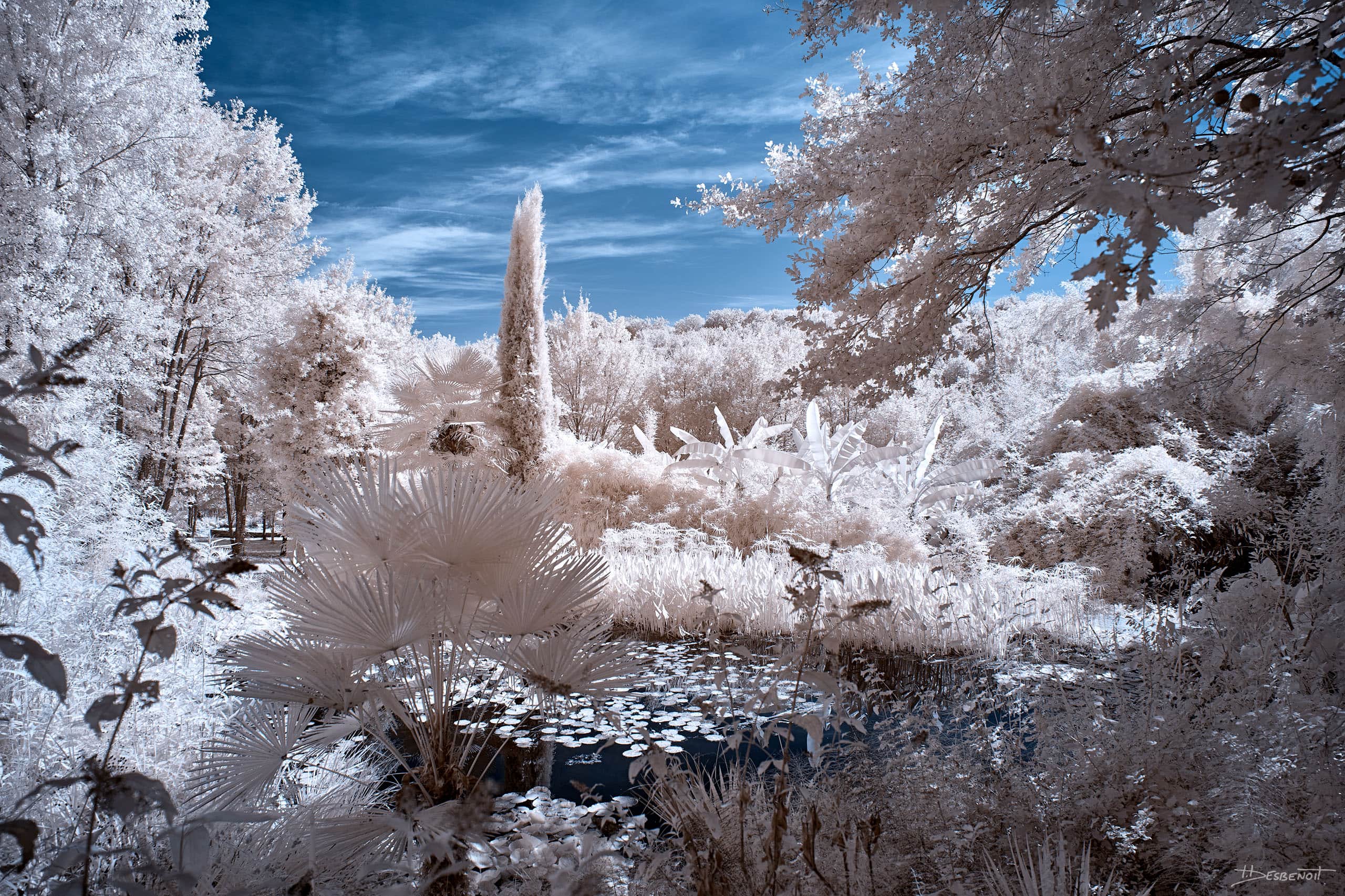 210906152255 MG 0024 X3N