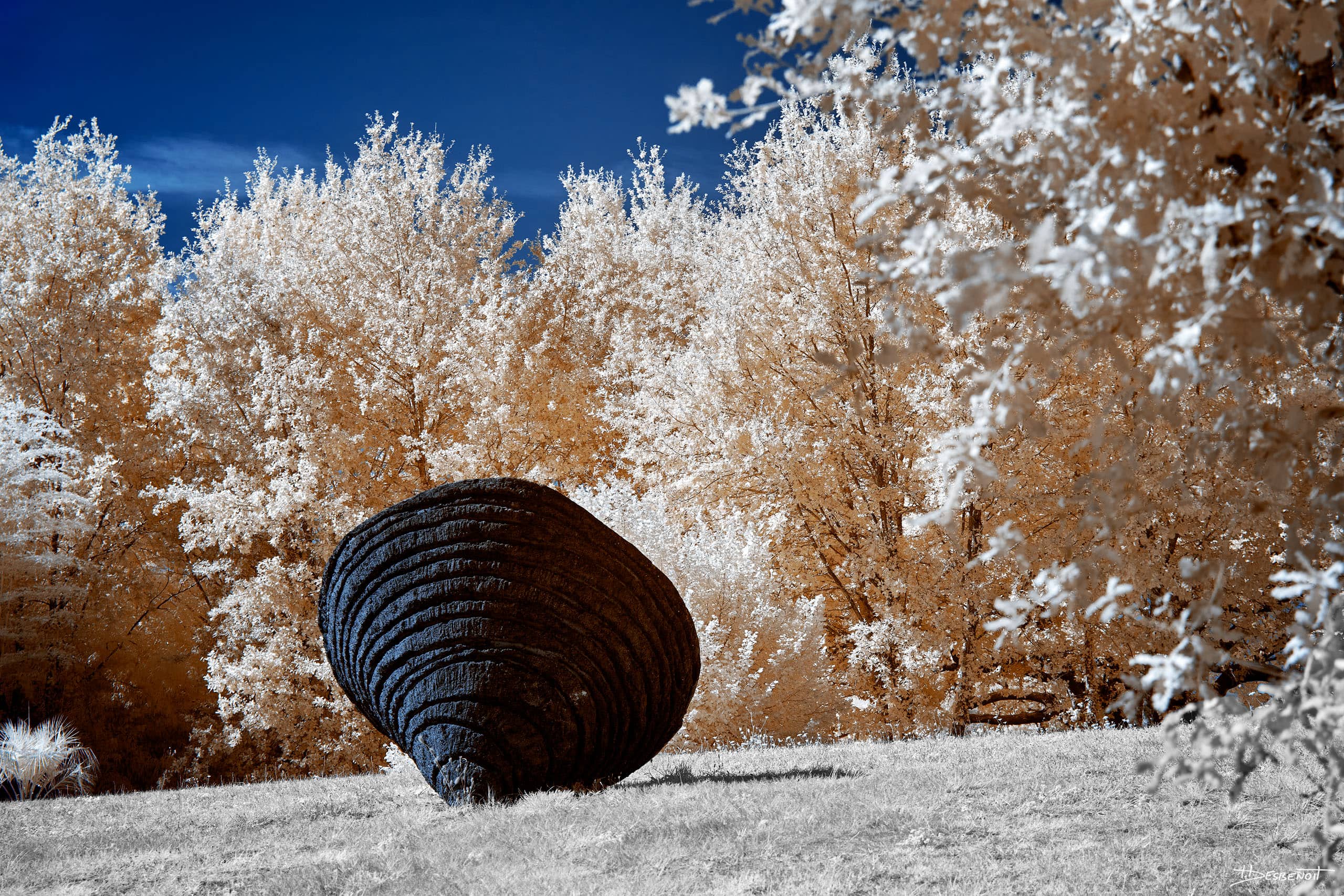 210906152400 MG 0025 X3N