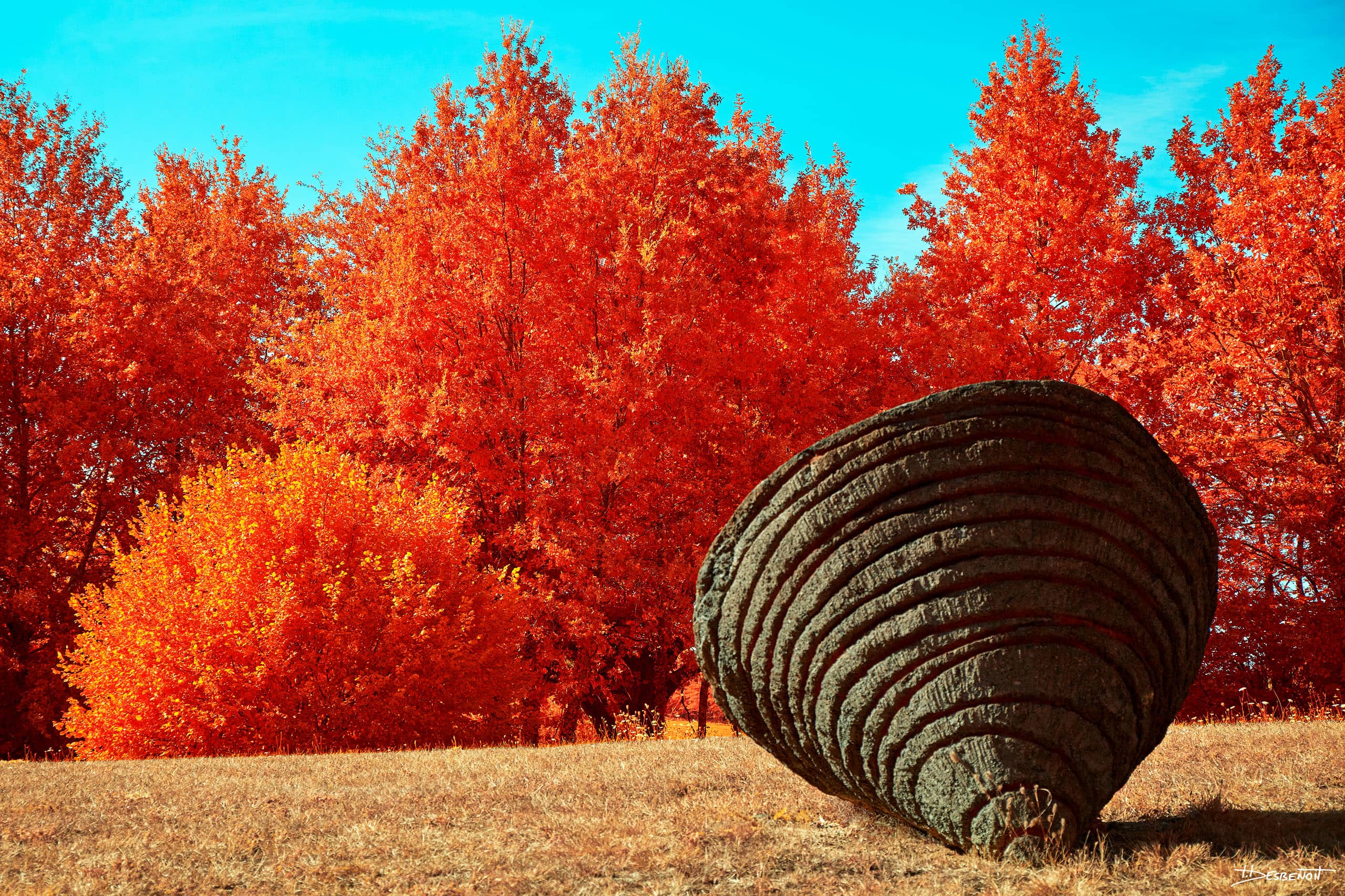 210906163217 MG 0049 X3N