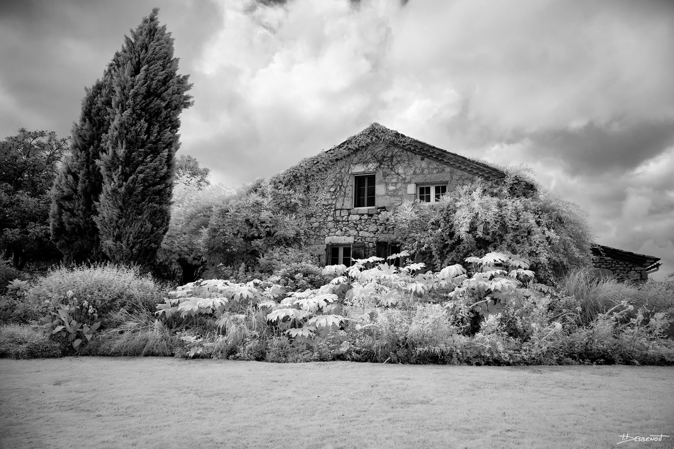 210909135223 MG 0055 X3N