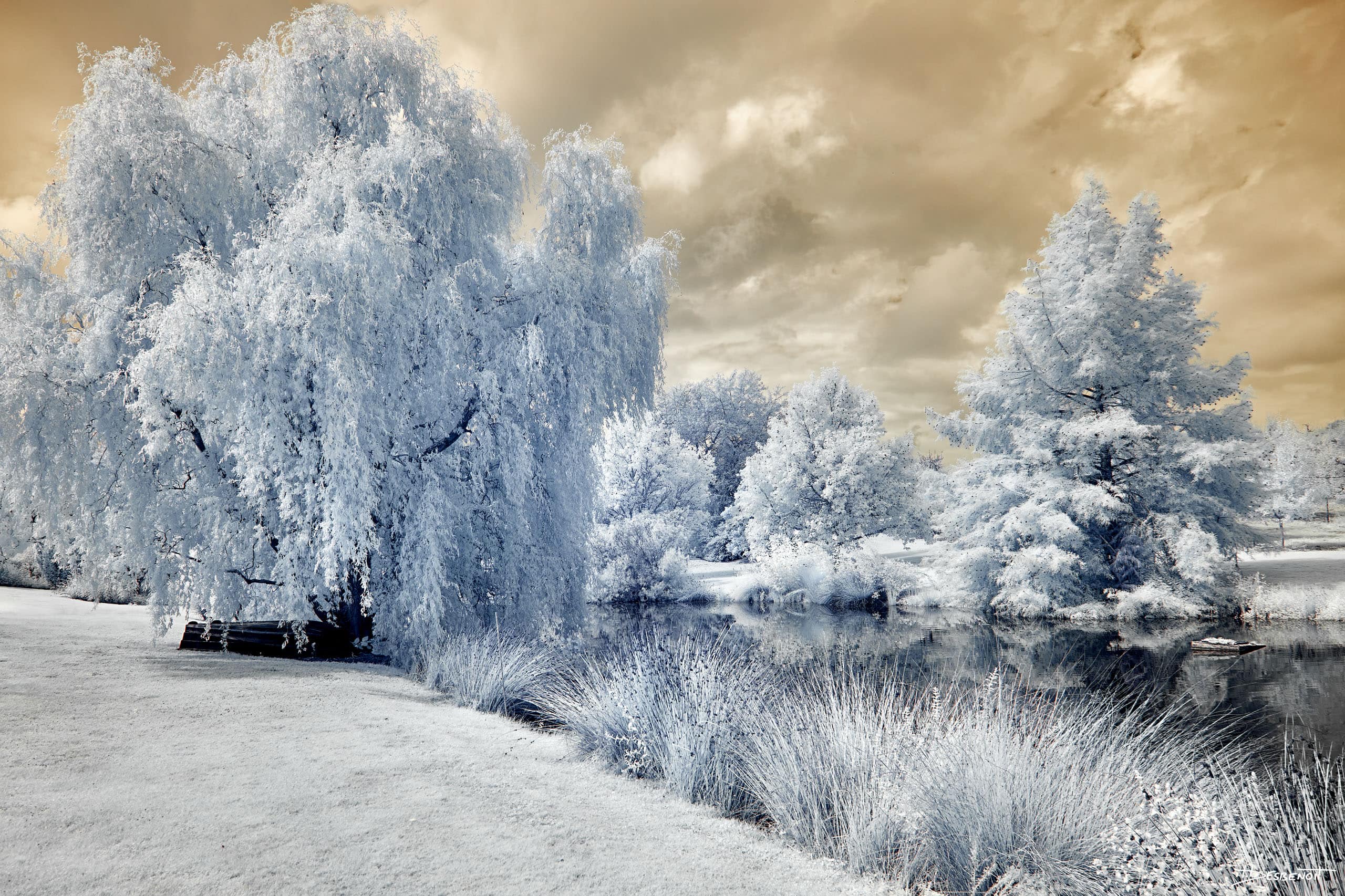 210909135658 MG 0059 X3N