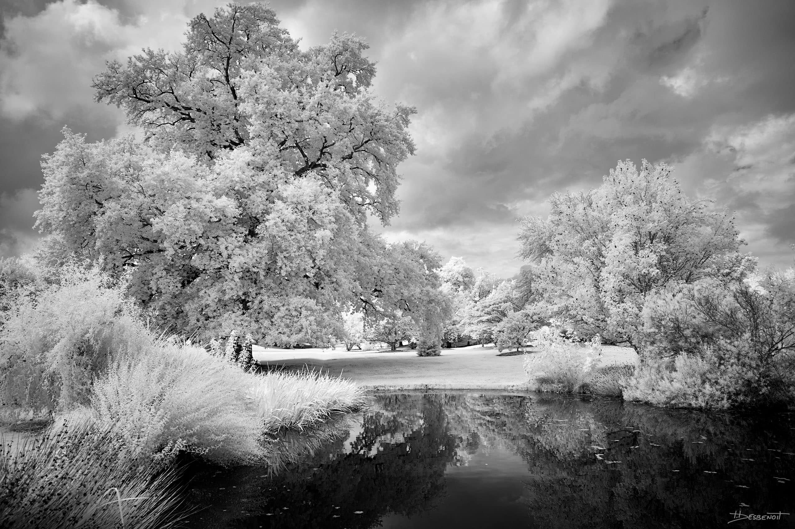 210909135912 MG 0060 X3N