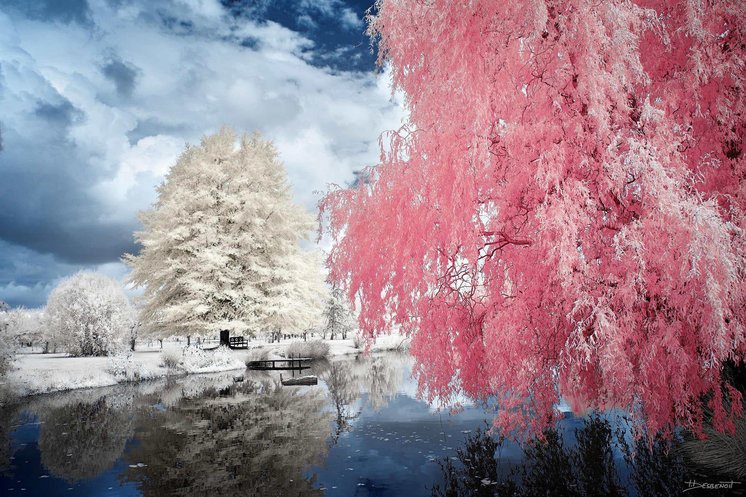 210909135932 MG 0061 X3N