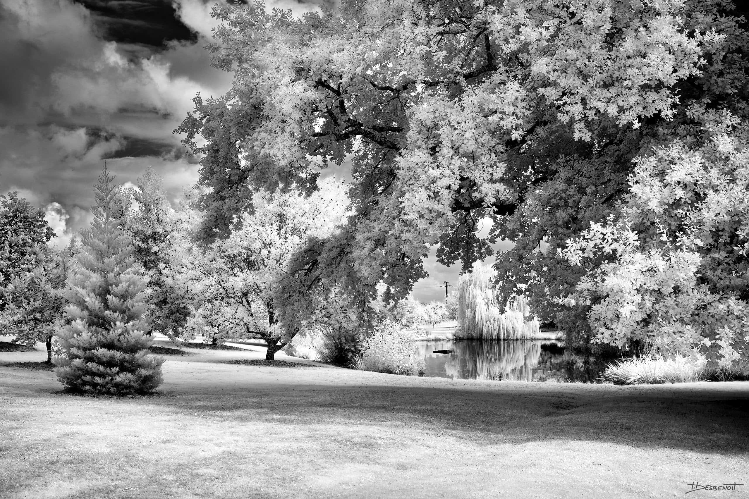 210909140734 MG 0066 X3N