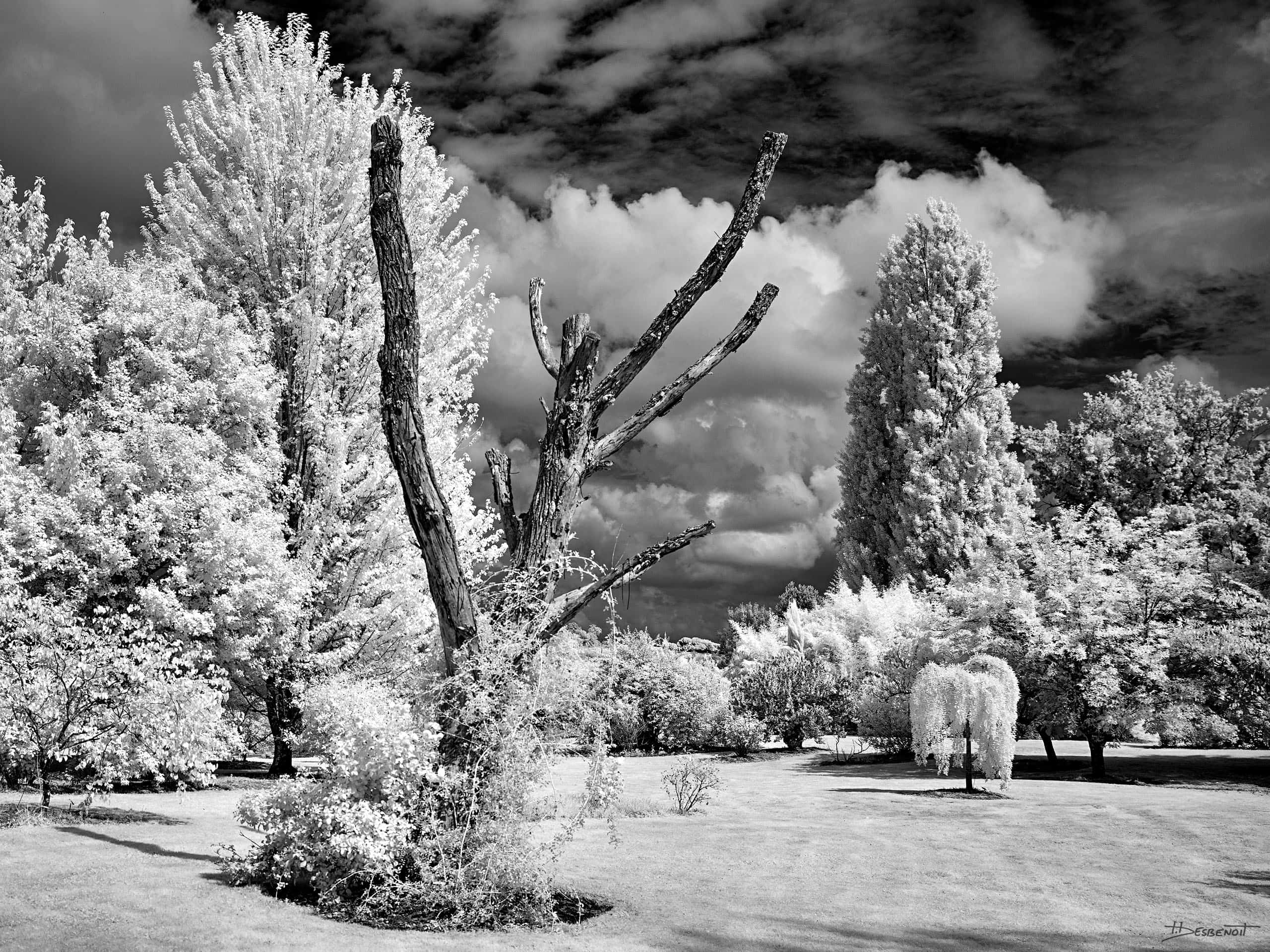 210909141611 MG 0069 X3N