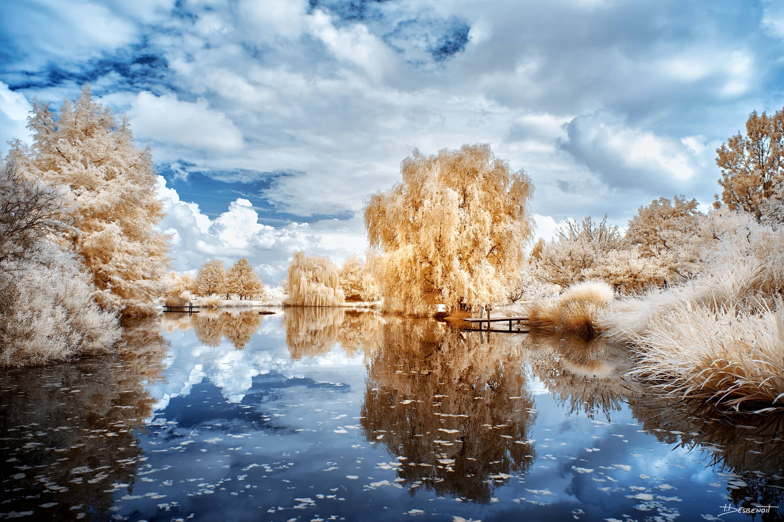 210909142418 MG 0074 X3N