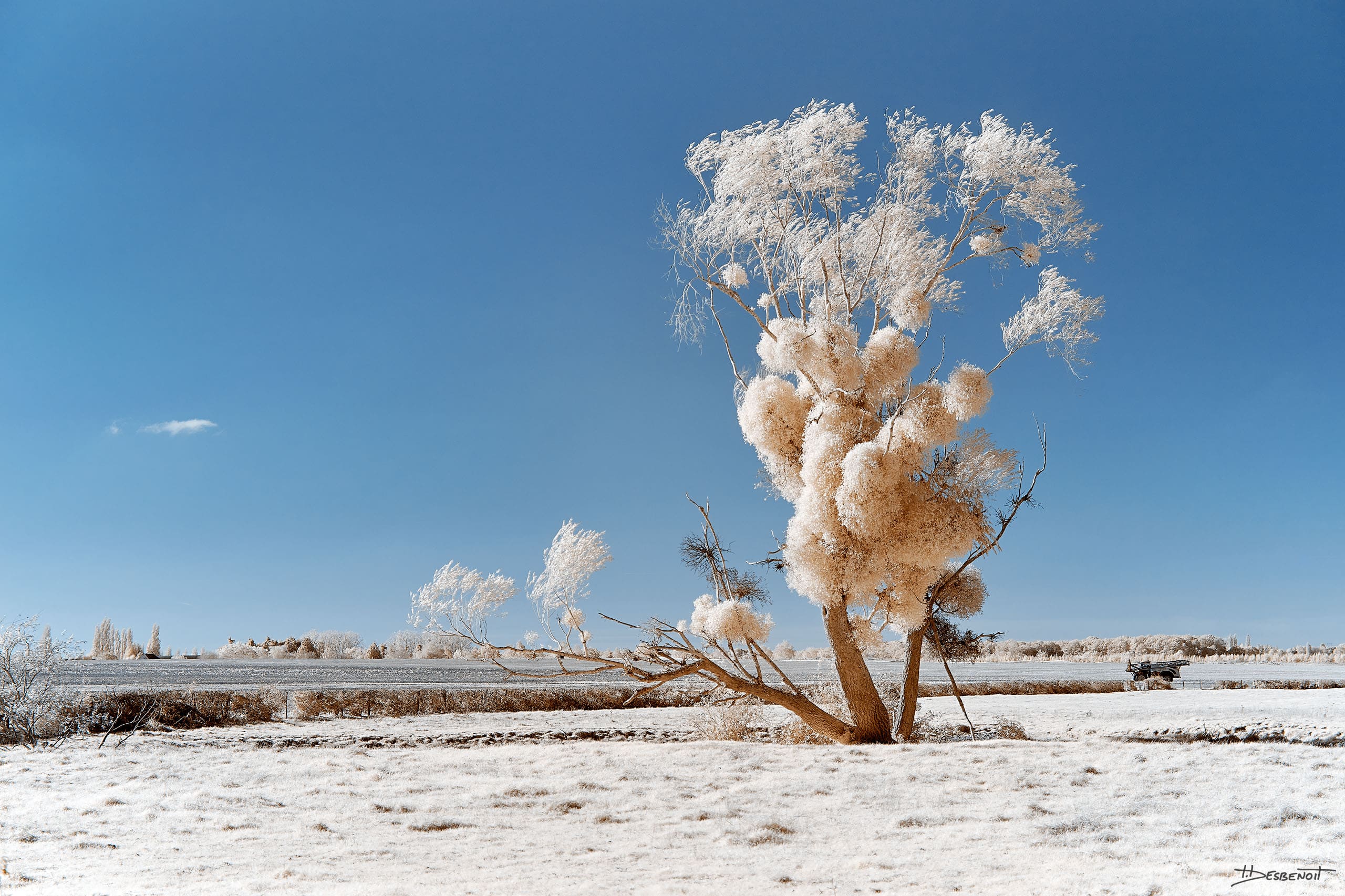 211028135407 MG 0144 X3N