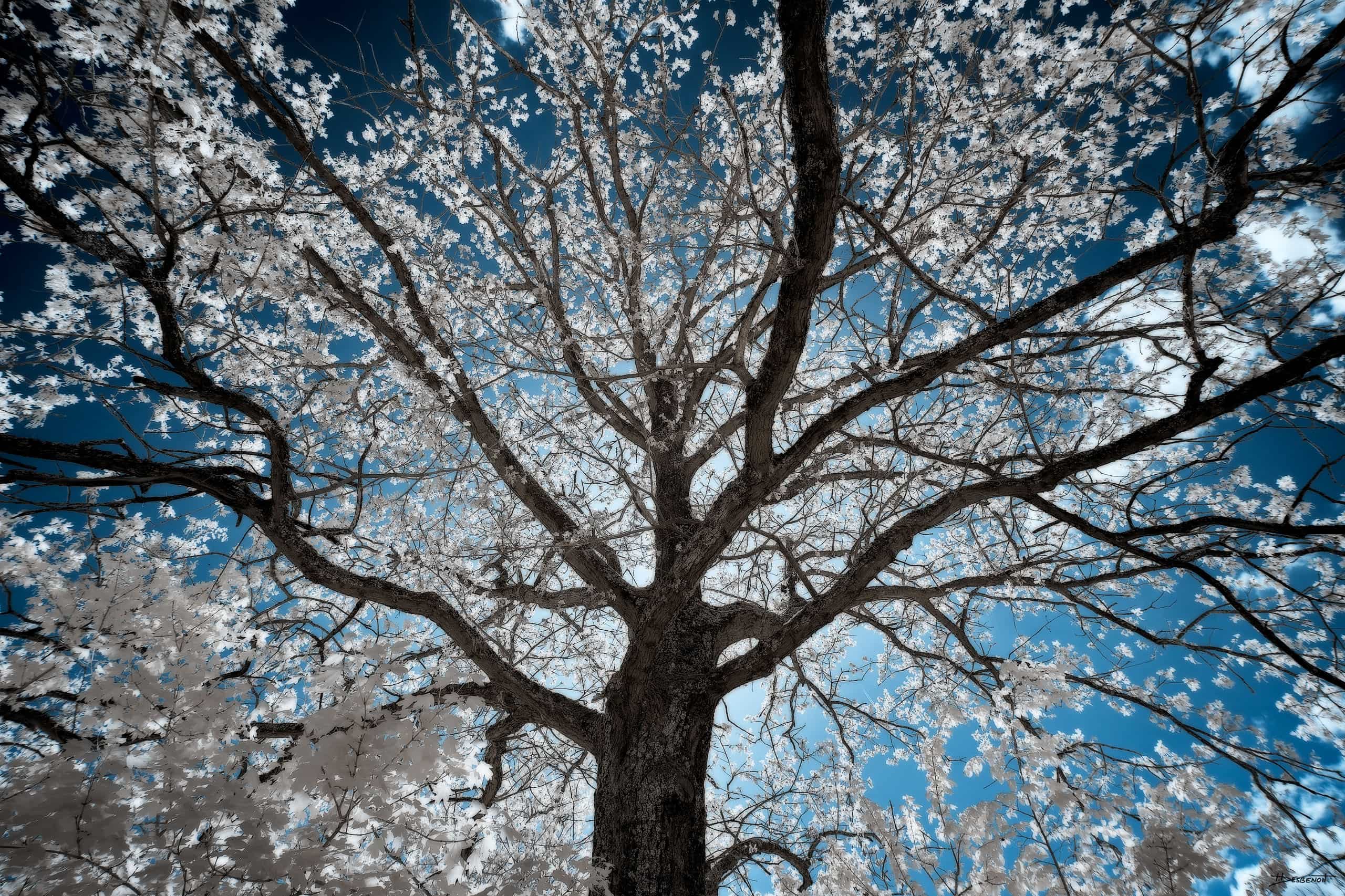 220422135040 MG 0777 X3N