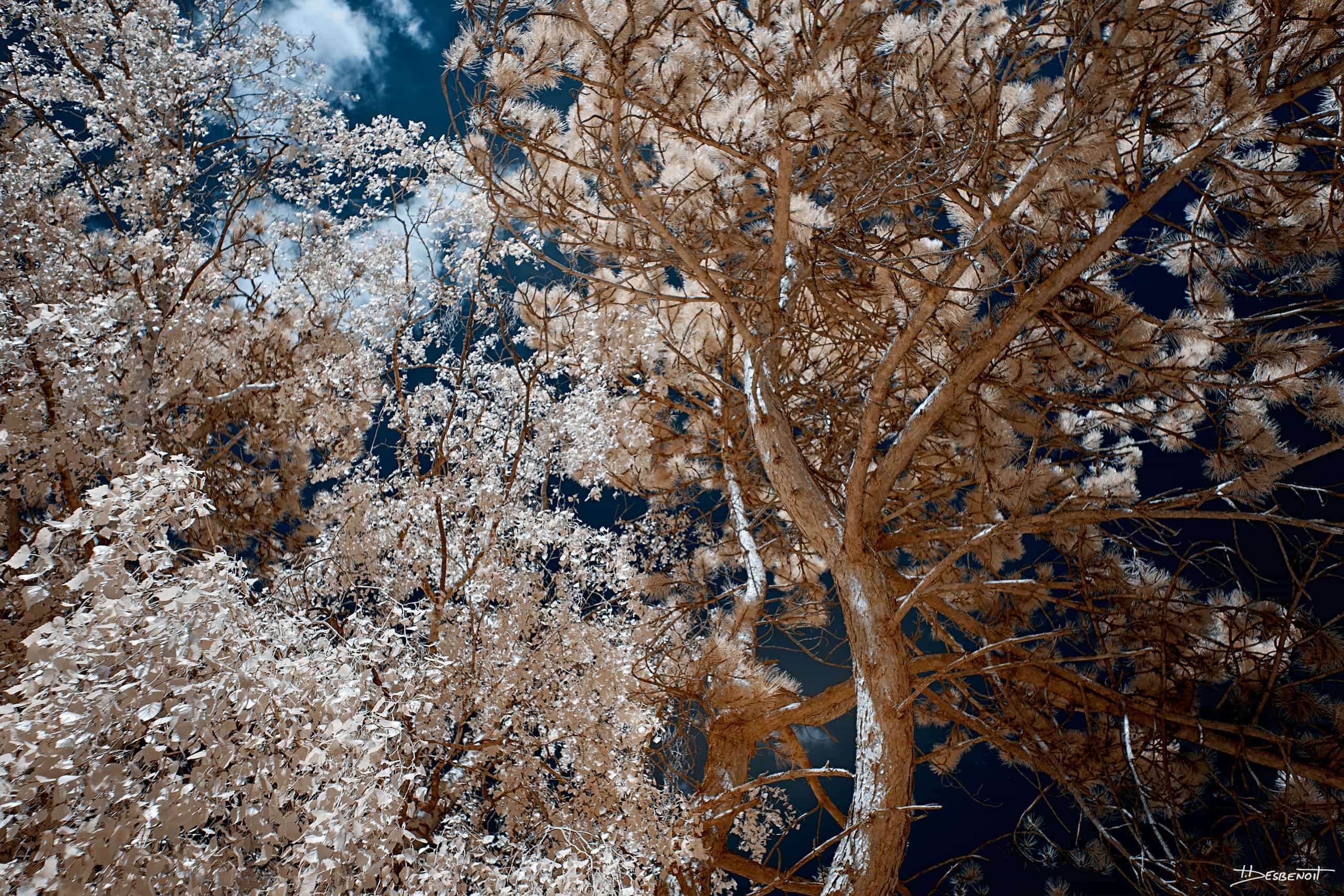 220430134209 MG 0829 X3N