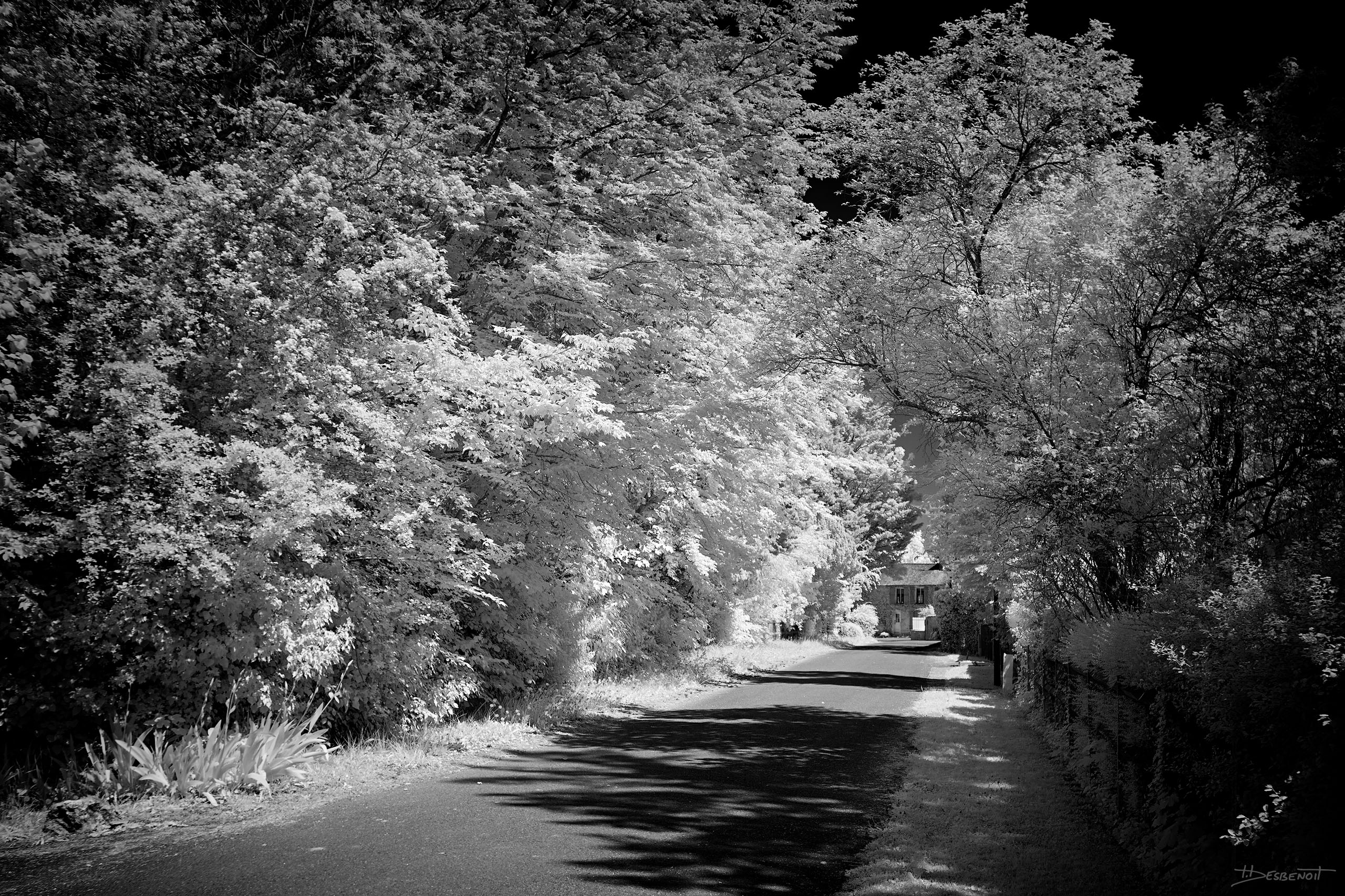 220430134520 MG 0832 X3