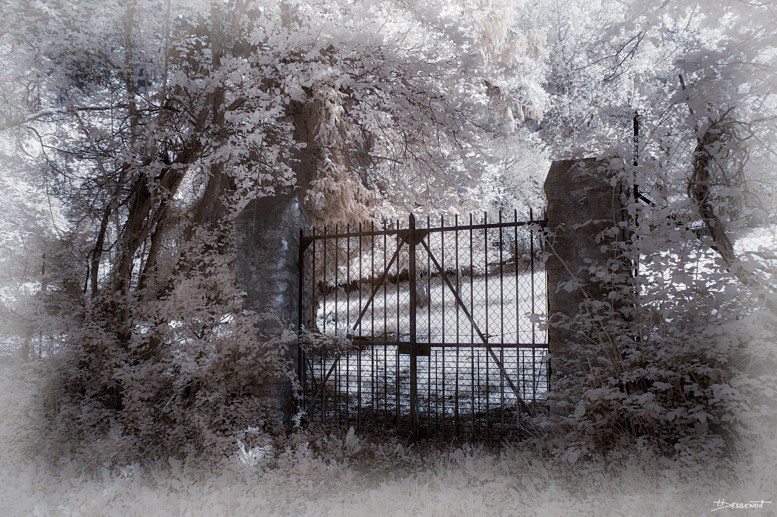 220430135331 MG 0842 X3N