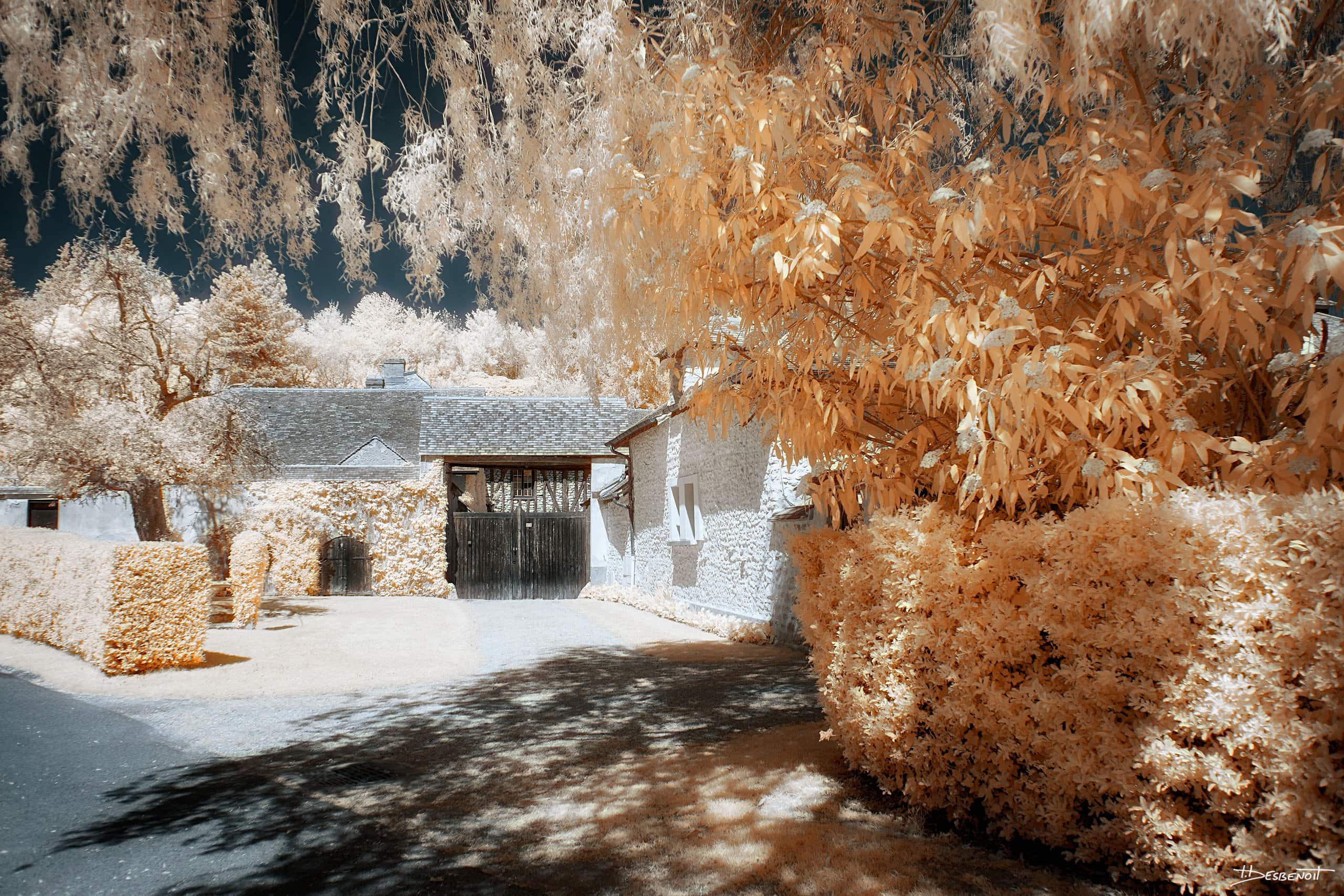 220430140943 MG 0850 X3N