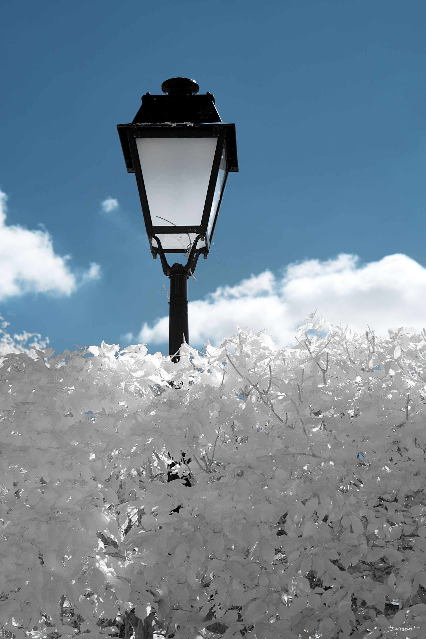 220506145935 MG 0986 X3N