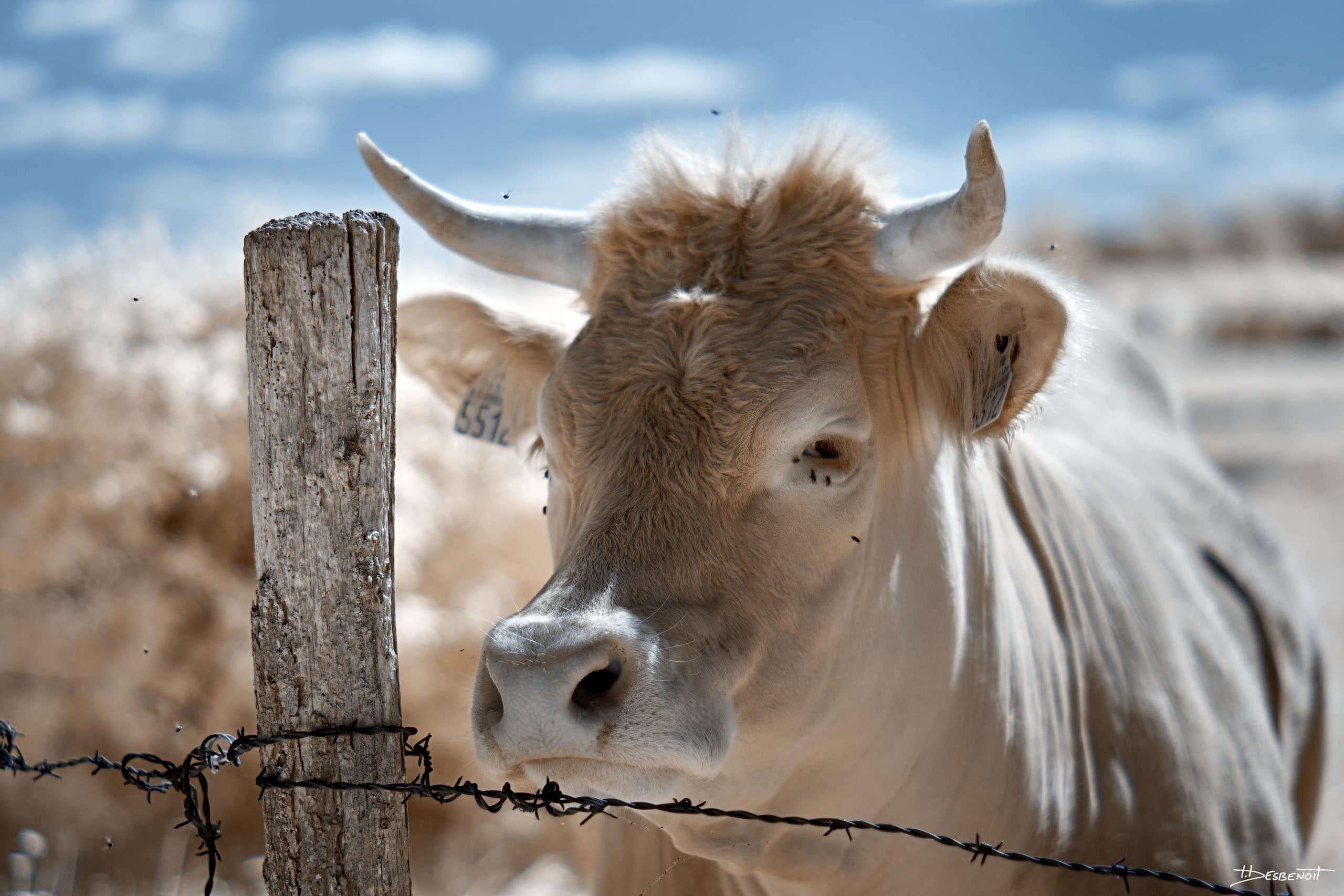 220506151121 MG 0995 X3N