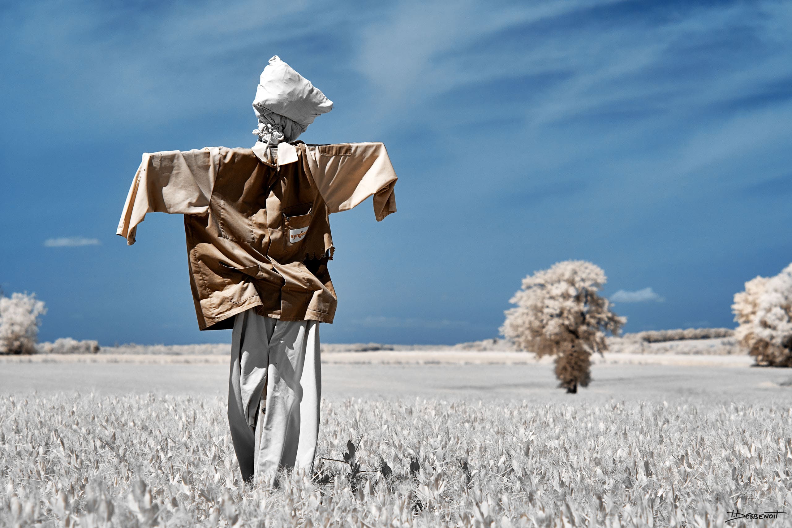 220509141115 MG 1027 X3N