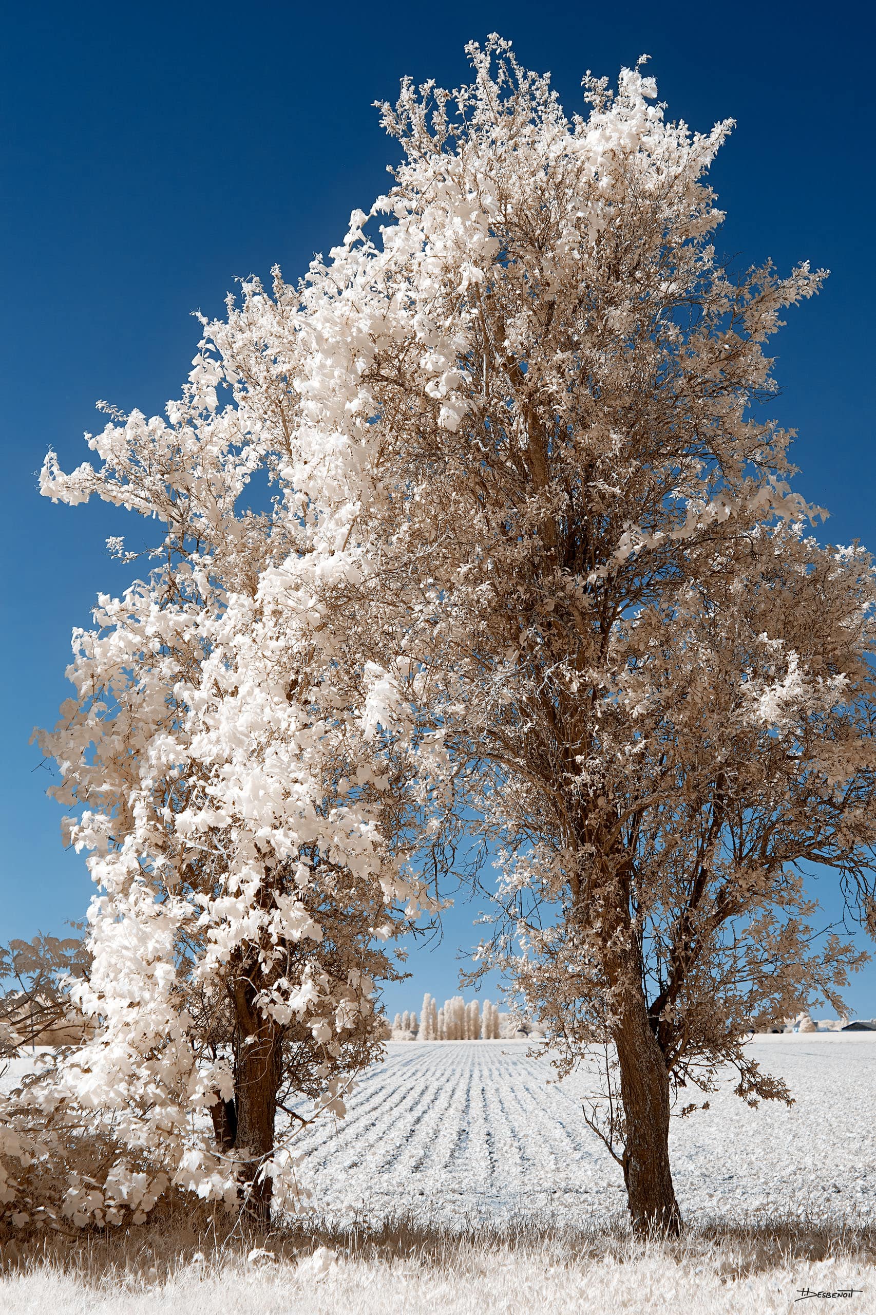 220517101847 MG 1157 X3N