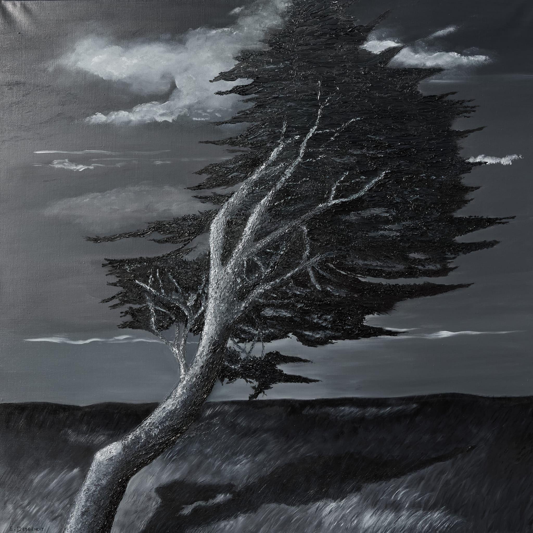 MON ARBRE Evelyne 2018