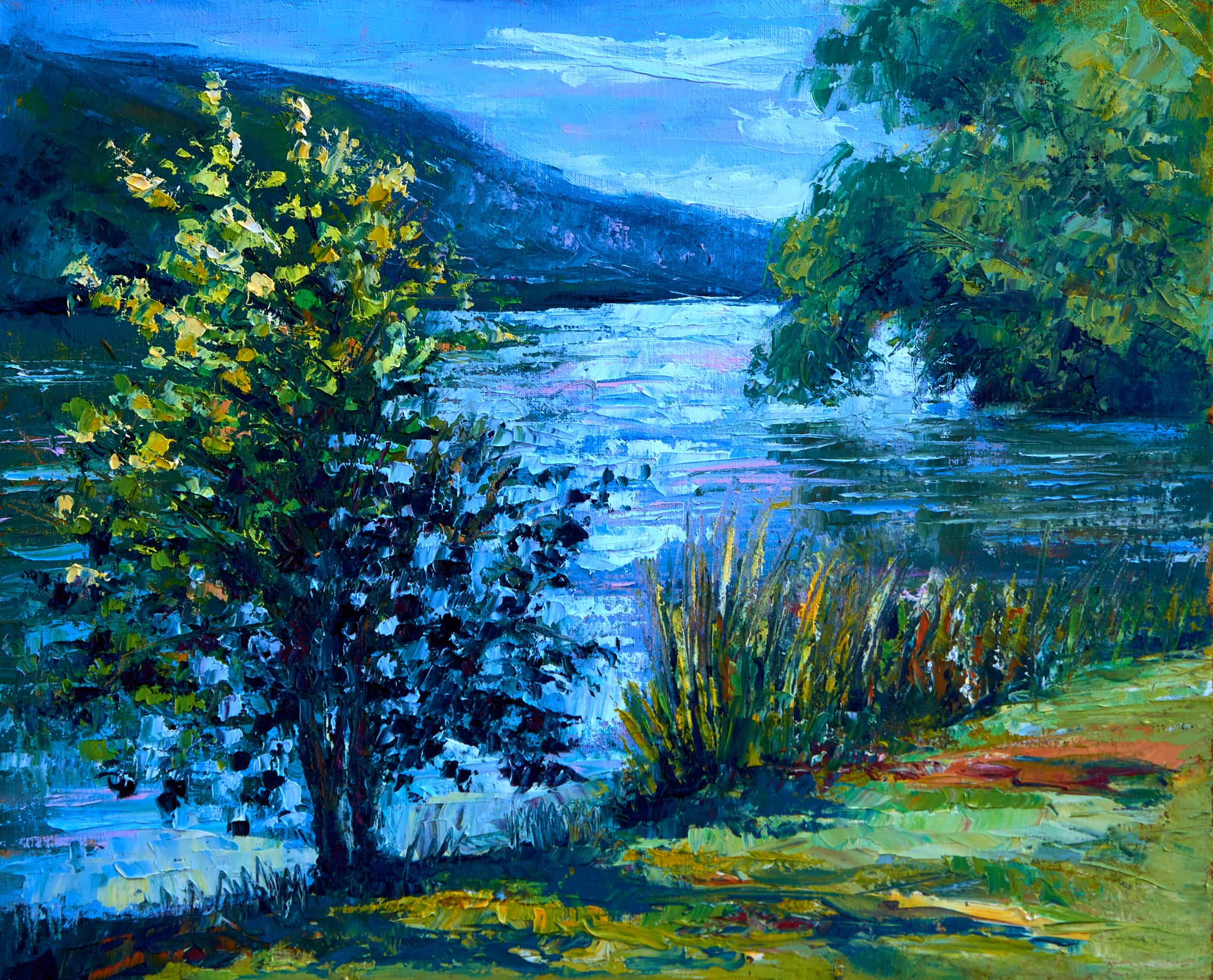 BORD DE SEINE Daniel 2012