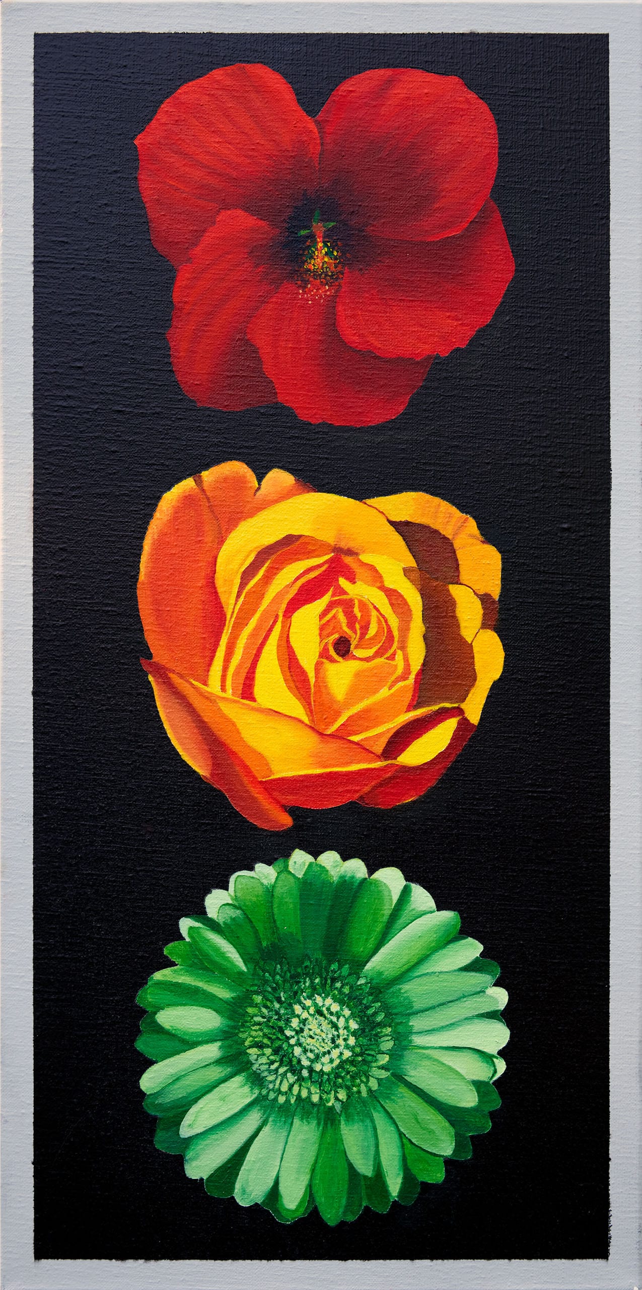 FLEURS TRICOLORES Evelyne 2022